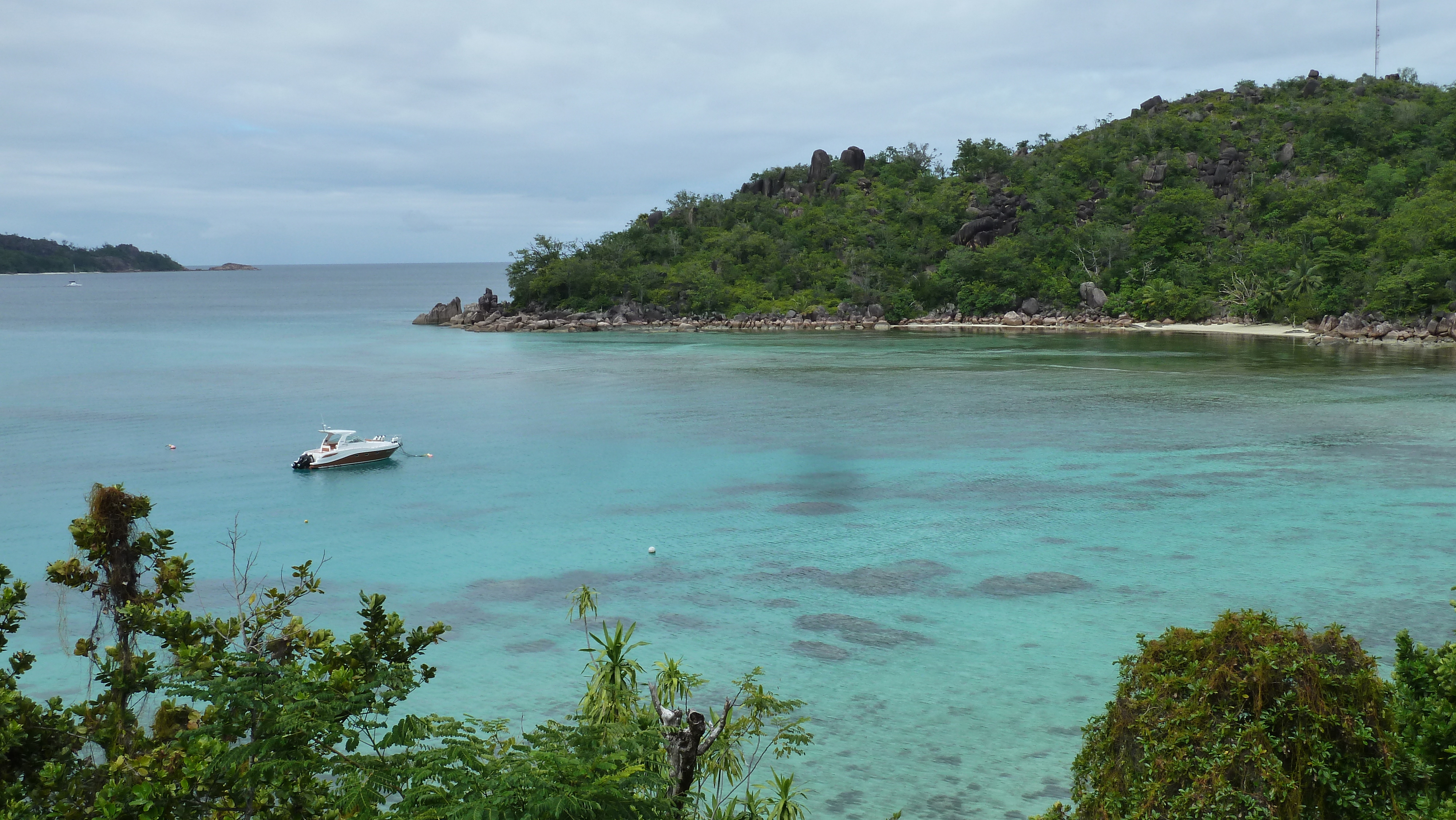 照片 塞舌尔(Seychelles) 普拉兰岛(Praslin) 2011-10 184