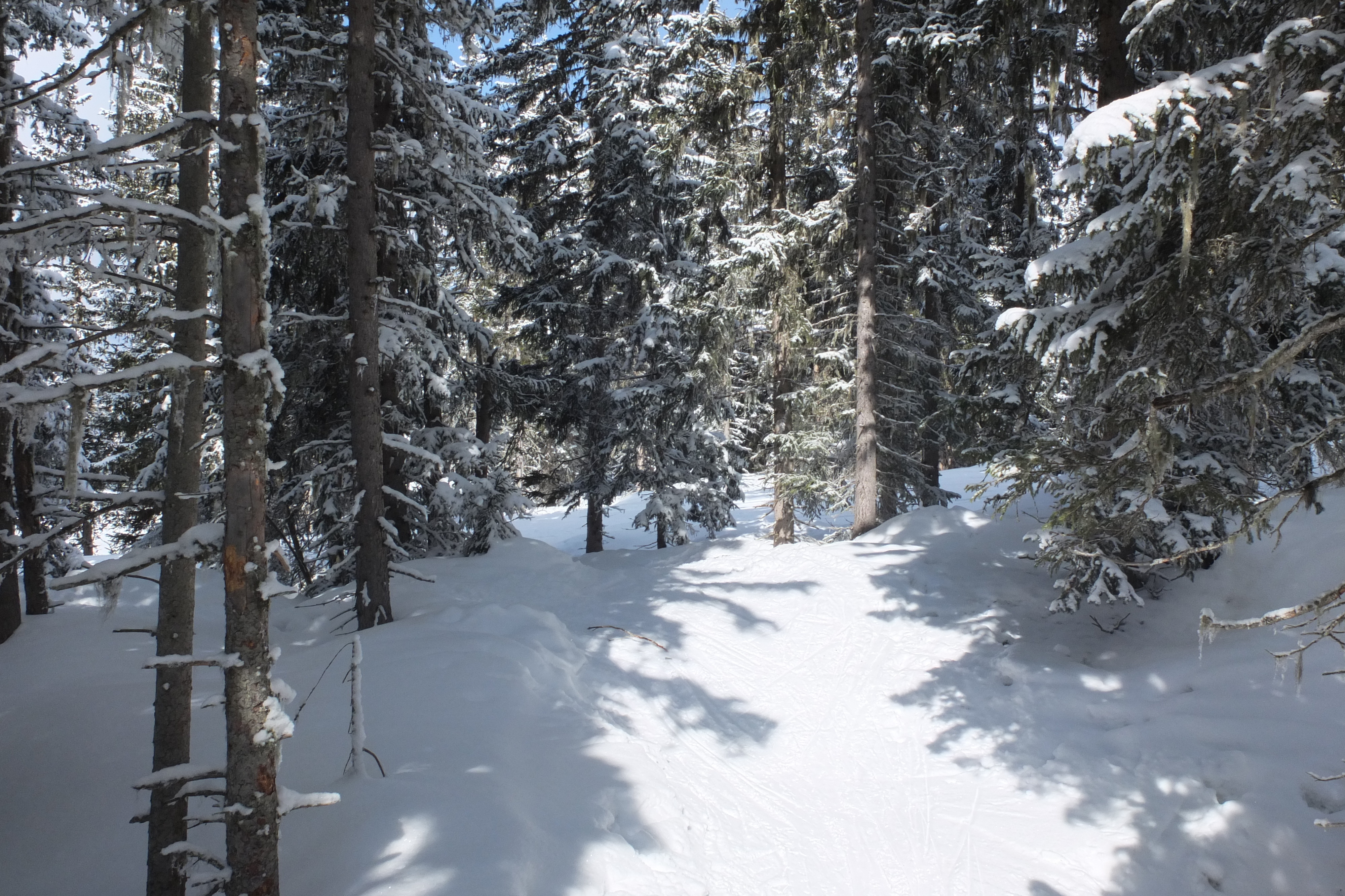 照片 法国(France) 三峡谷滑雪场(Les 3 Vallees) 2013-03 174