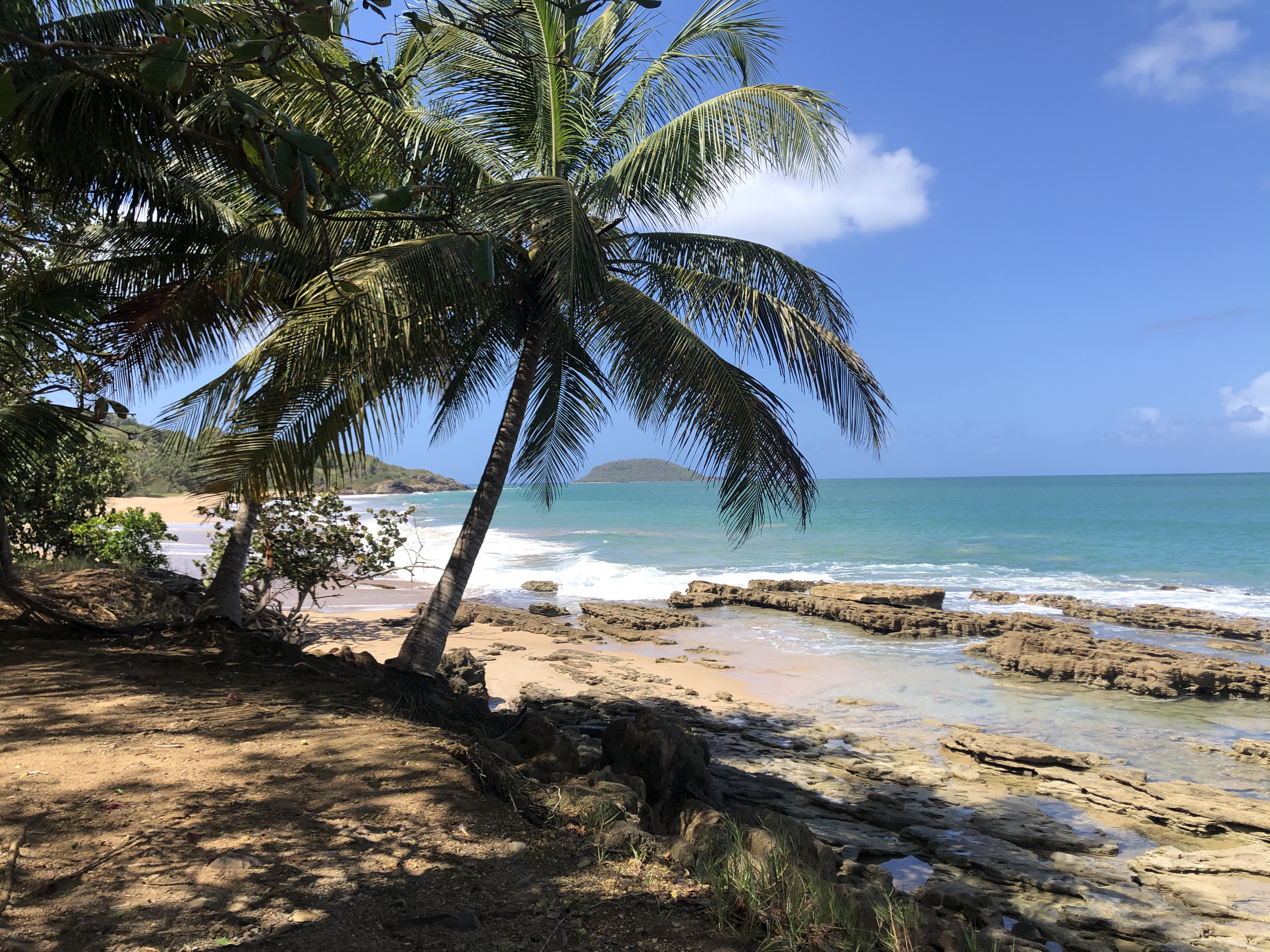 照片 瓜德罗普(Guadeloupe) 克吕尼海滩(Clugny Beach) 2021-02 12