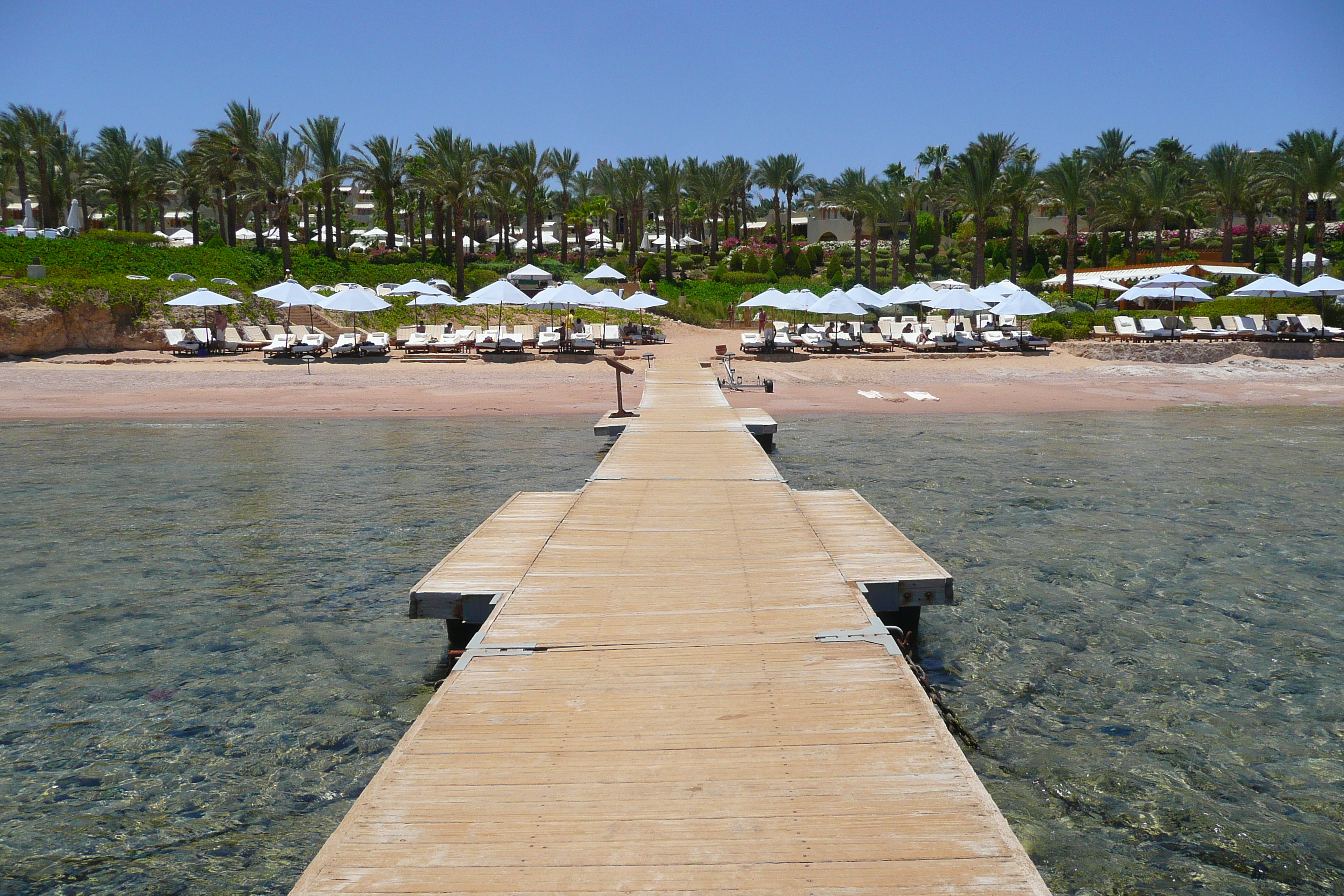 照片 埃及(Egypt) 沙姆沙伊赫(Sharm el Sheikh) 四季酒店(Four Seasons Hotel) 四季酒店海滩(Four Seasons Beach) 2008-06 55