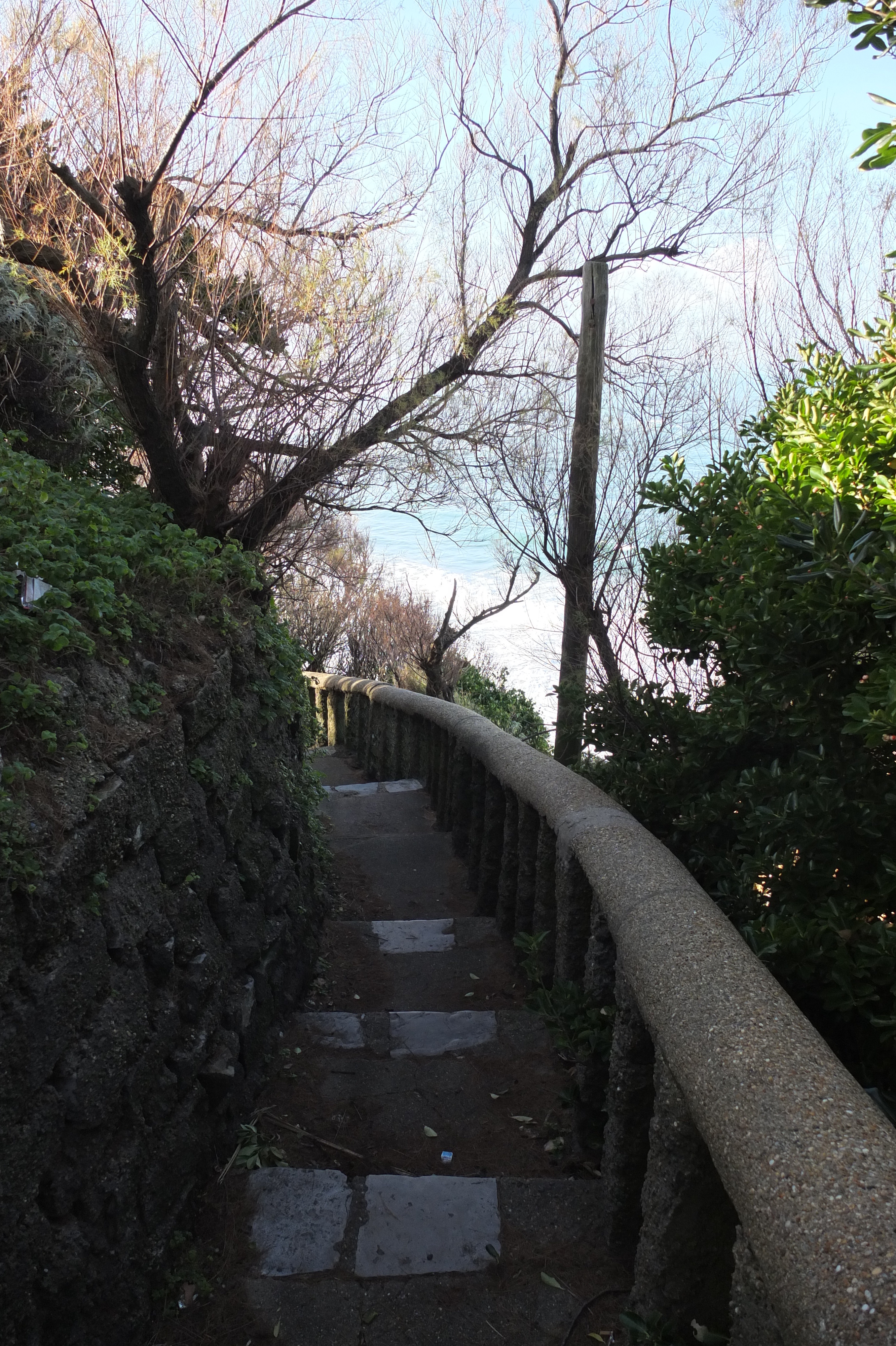 照片 法国(France) 比亚里茨(Biarritz) 2013-01 41