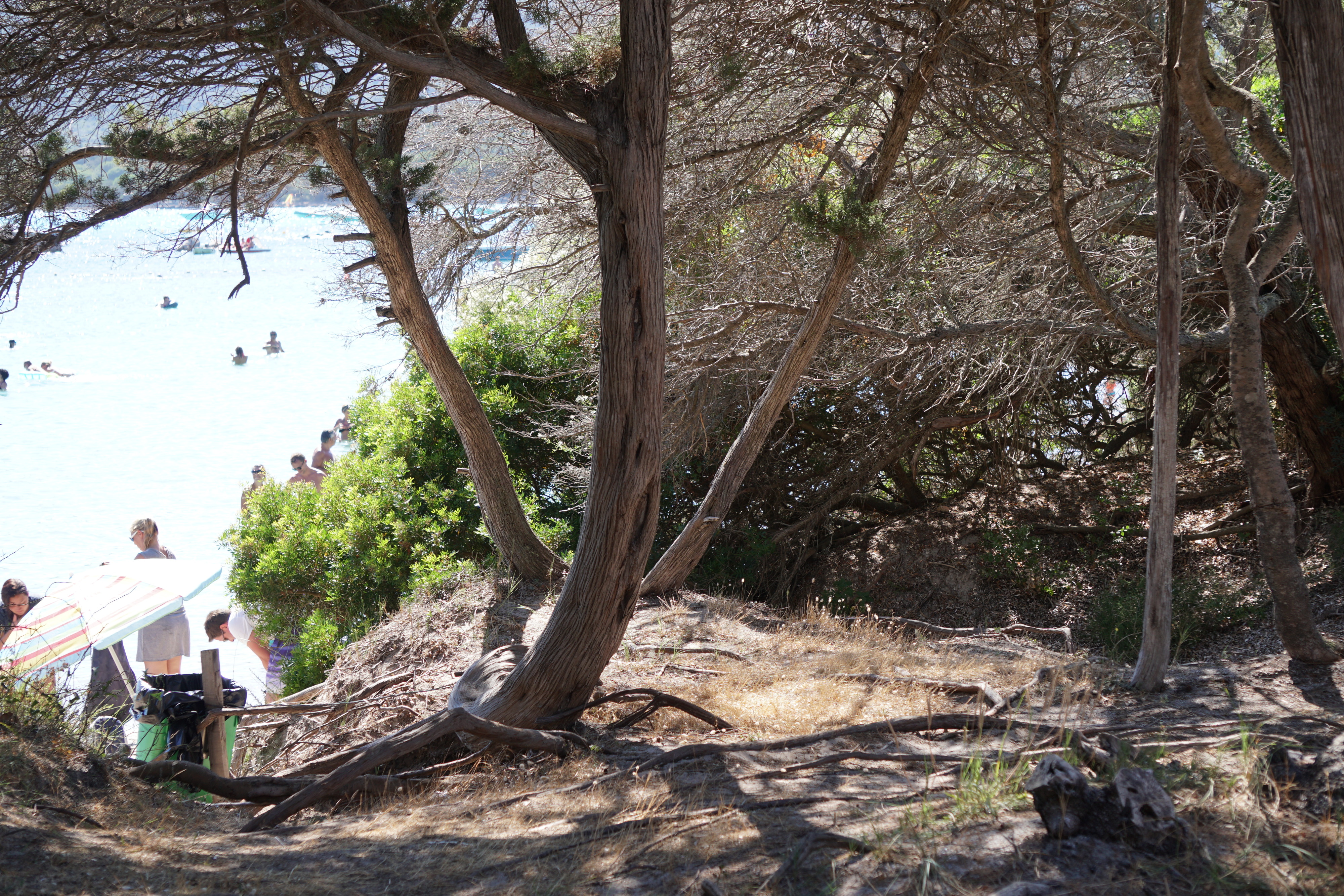 照片 法国(France) 科西嘉岛(Corsica) 圣朱莉亚海滩(Santa Giulia Beach) 2017-07 40