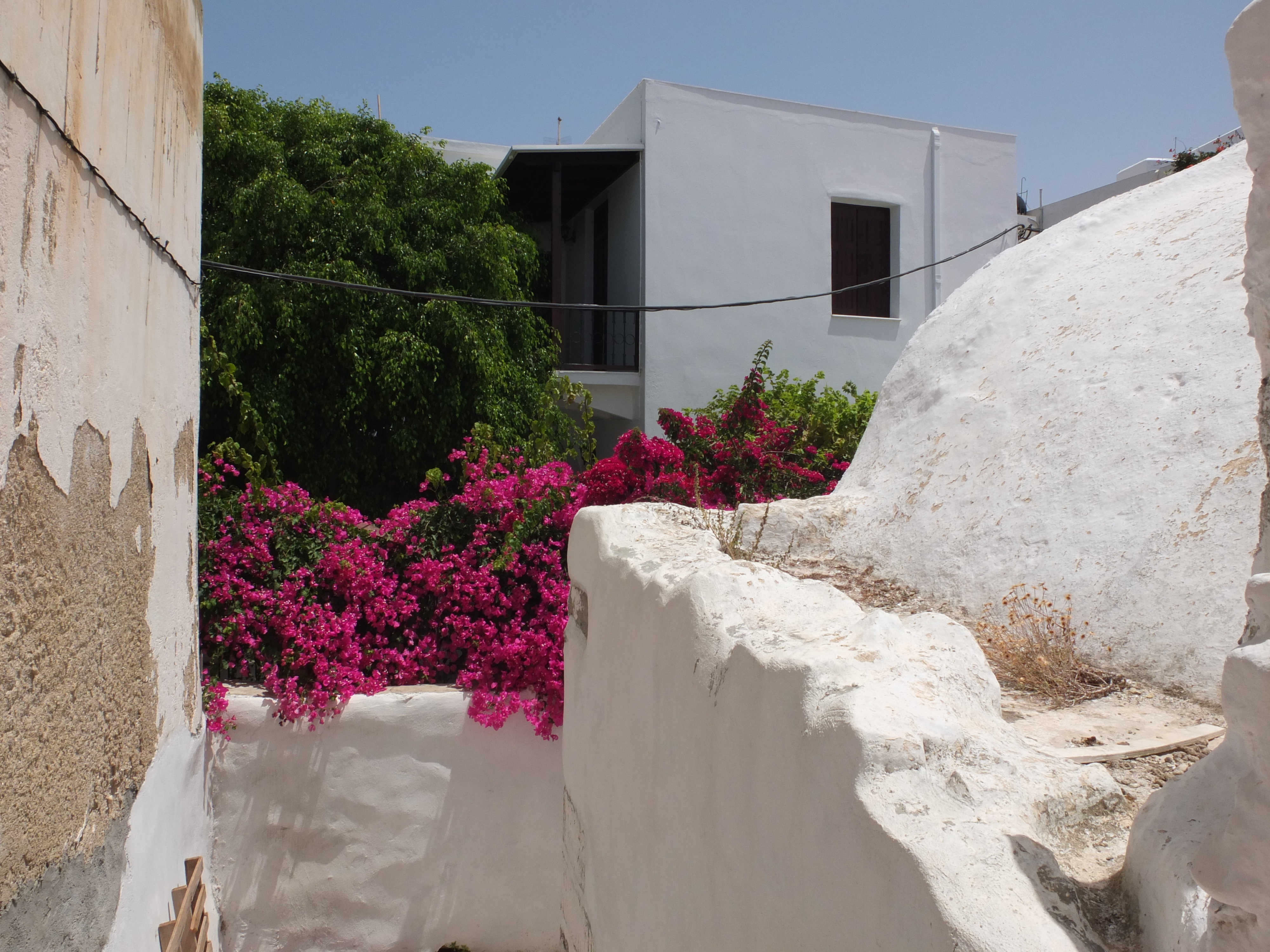 照片 希腊(Greece) 纳克索斯岛(Naxos) 2014-07 12