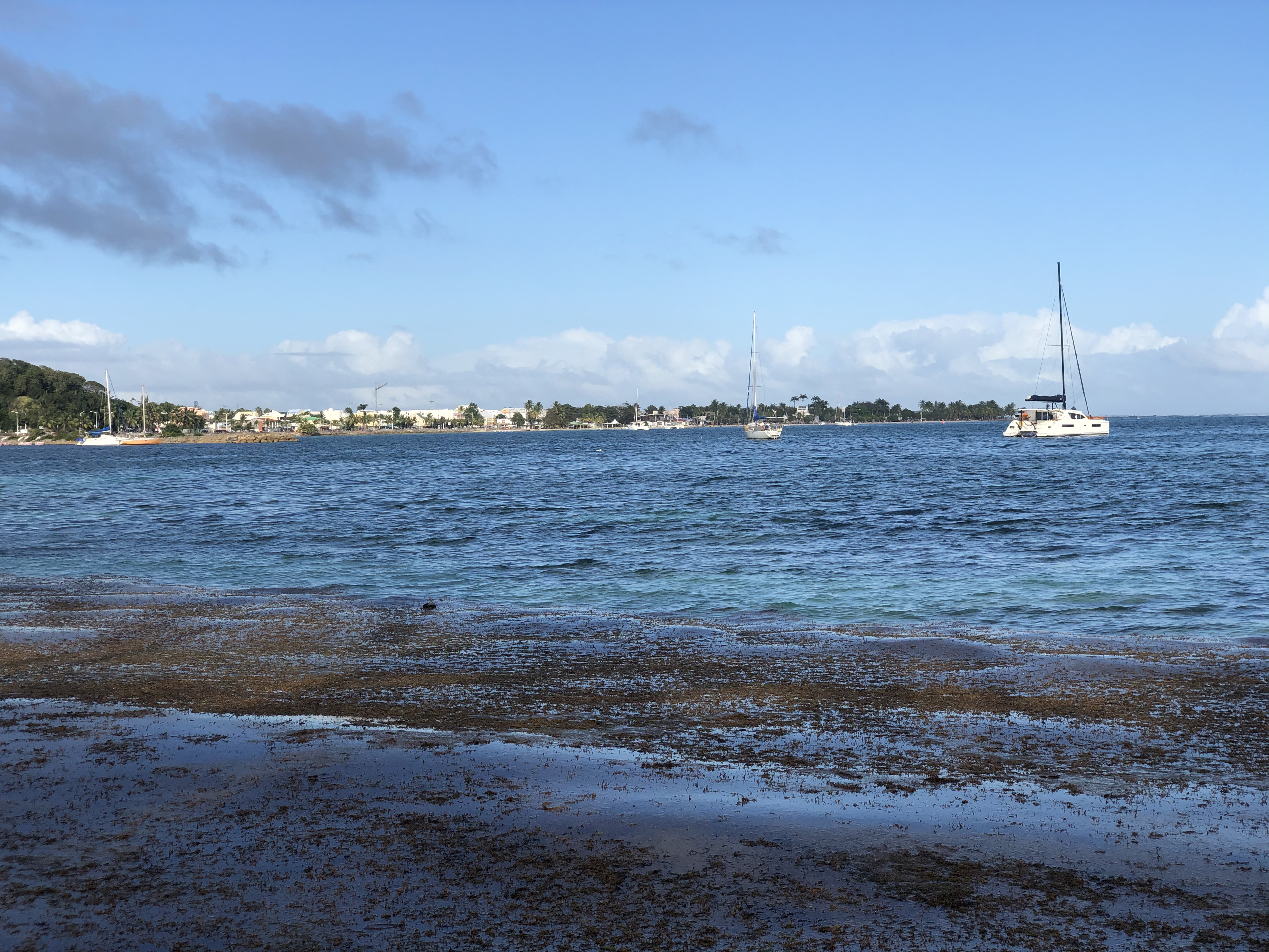 照片 瓜德罗普(Guadeloupe) 卡拉维尔海滩(La Caravelle Beach) 2021-02 28