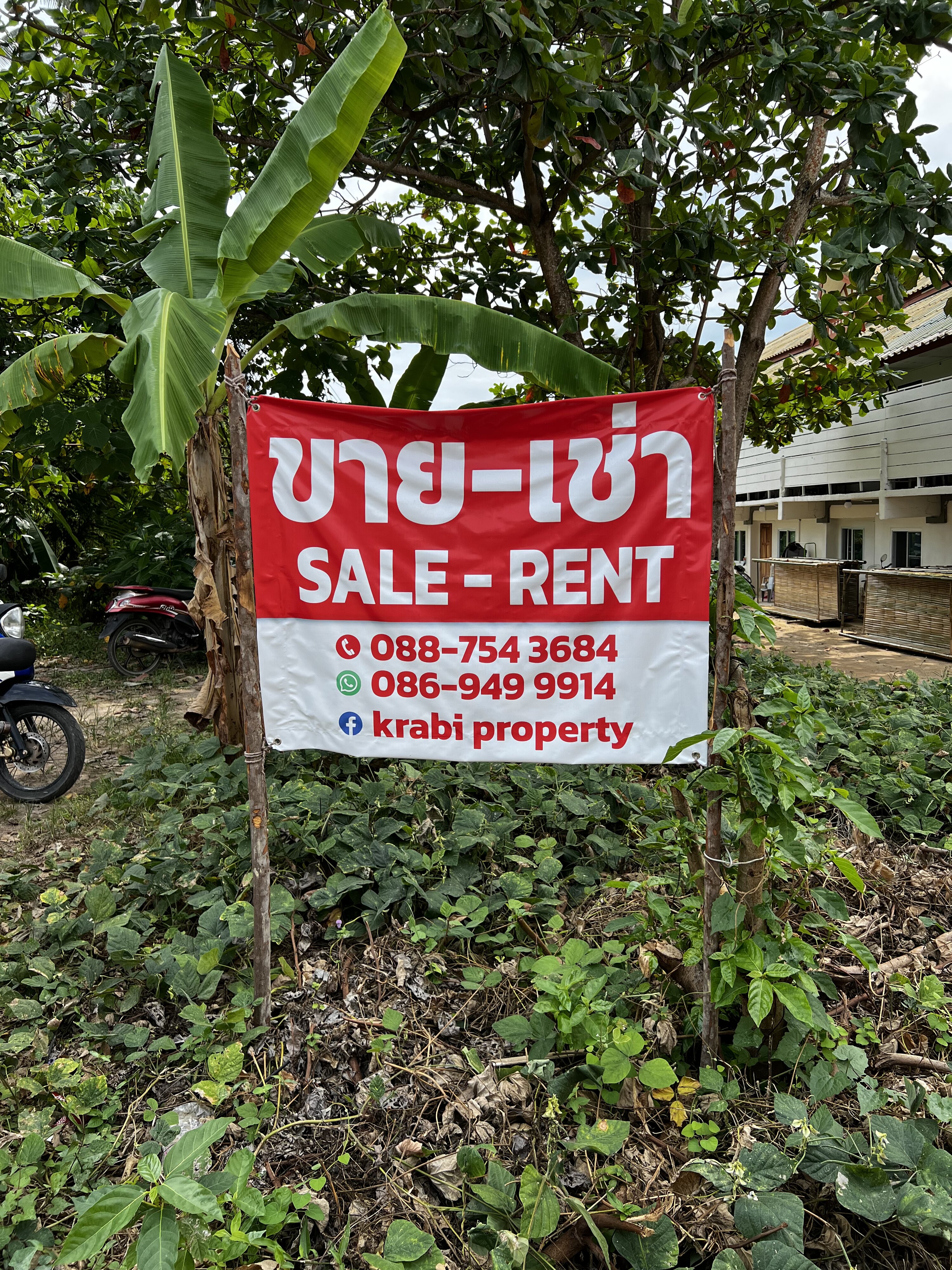 照片 泰国(Thailand) 兰塔岛(Ko Lanta) 2023-01 236