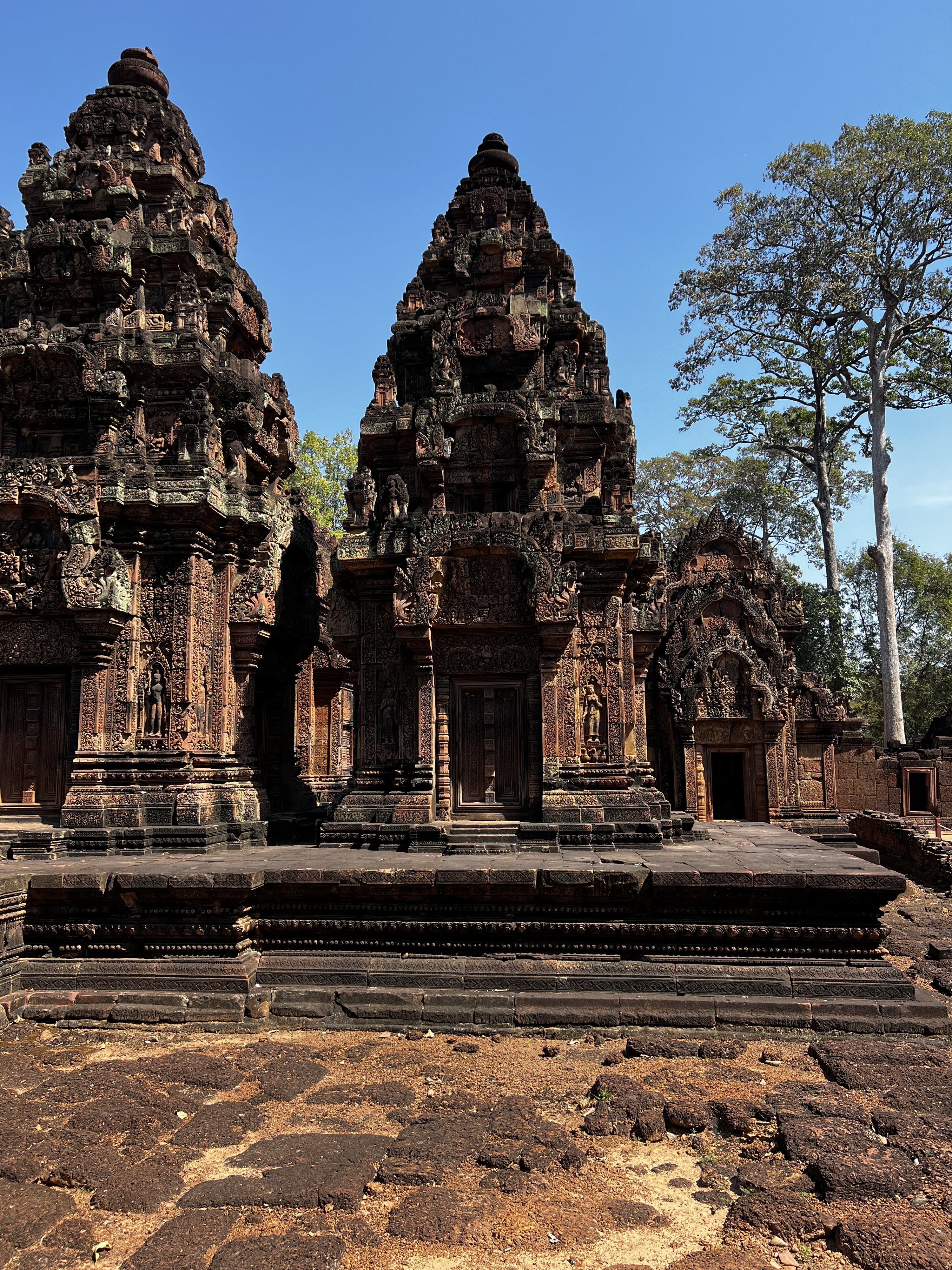 照片 柬埔寨(Cambodia) 暹粒(Siem Reap) 女王宫(Banteay Srei) 2023-01 6