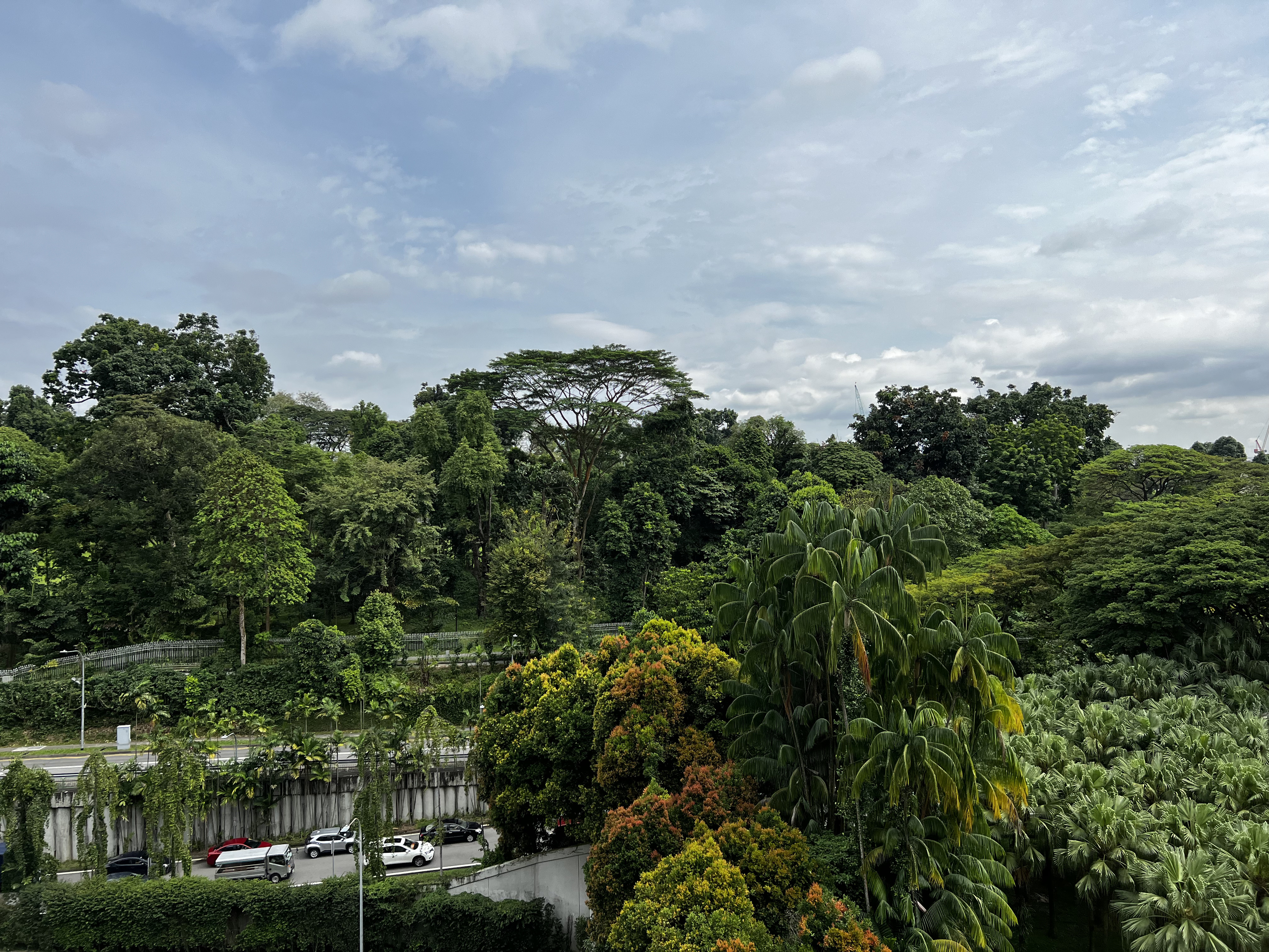 照片 新加坡(Singapore) 2023-01 72