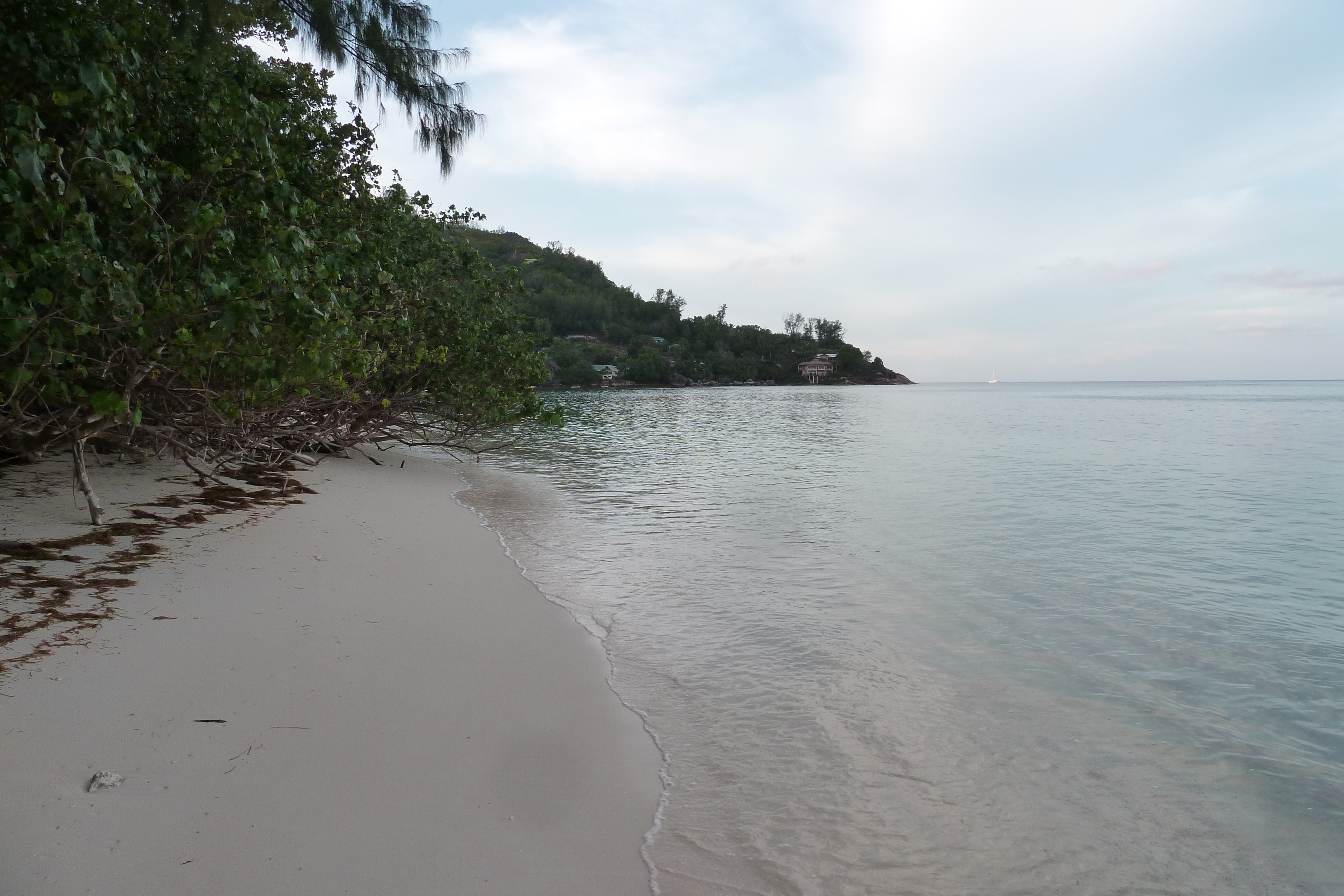 照片 塞舌尔(Seychelles) 普拉兰岛(Praslin) 2011-10 221