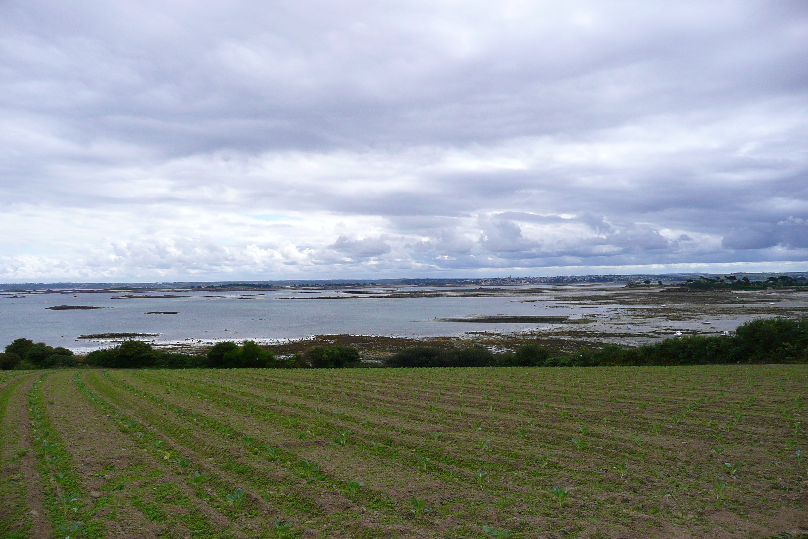 照片 法国(France) 罗斯科夫(Roscoff) 2007-08 1