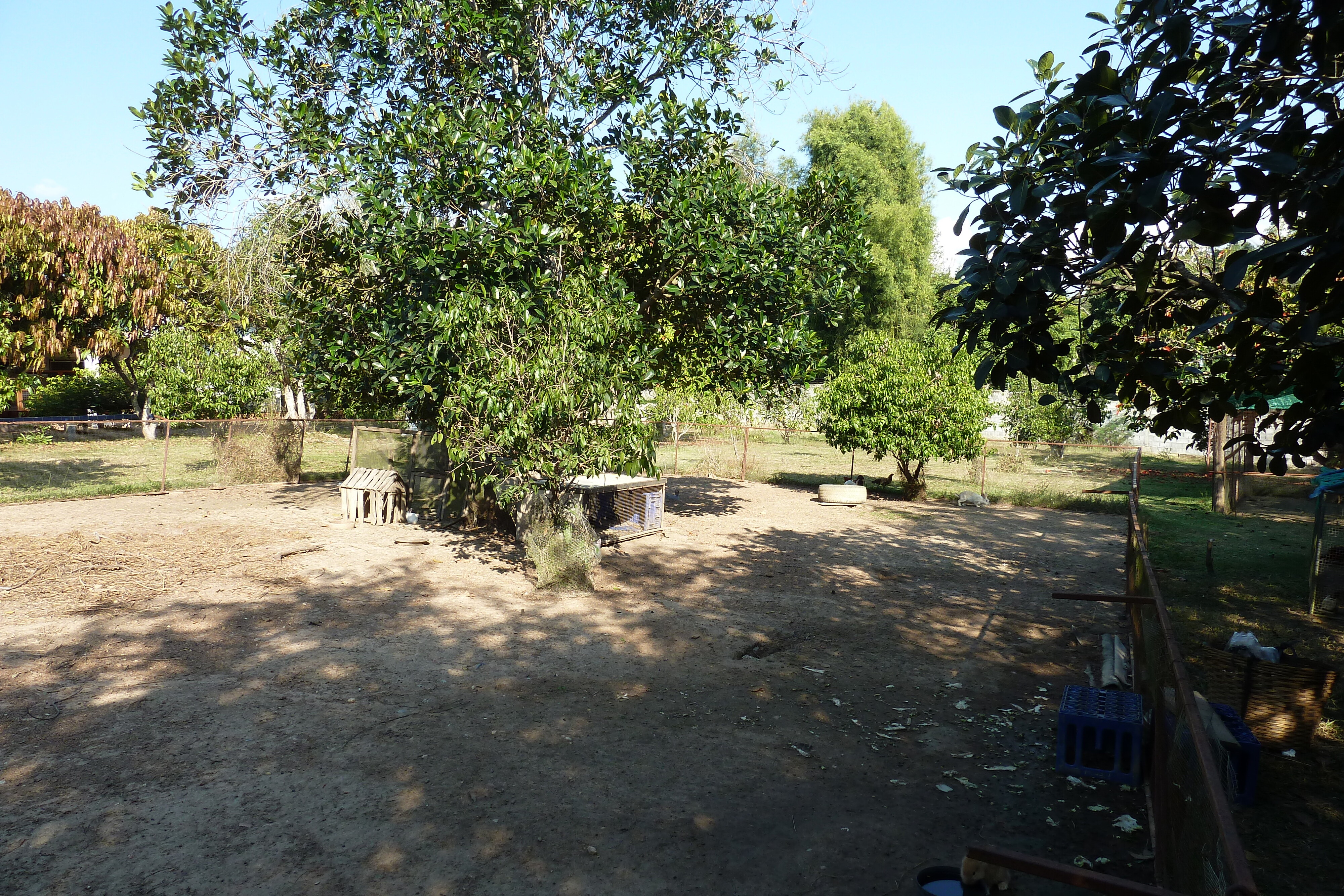 照片 泰国(Thailand) 清迈(Chiang Mai) 湄沙蛇园(Mae Sa Snake Farm) 2010-12 0