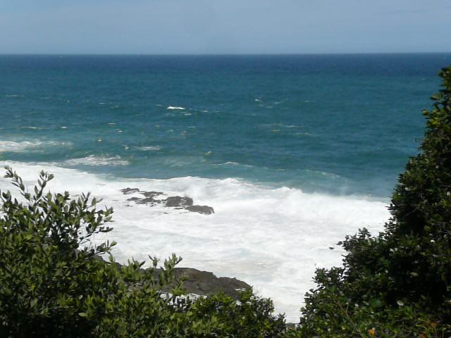 照片 南非(South Africa) 齐齐卡马国家公园(Tsitsikamma National Park) 2008-09 434