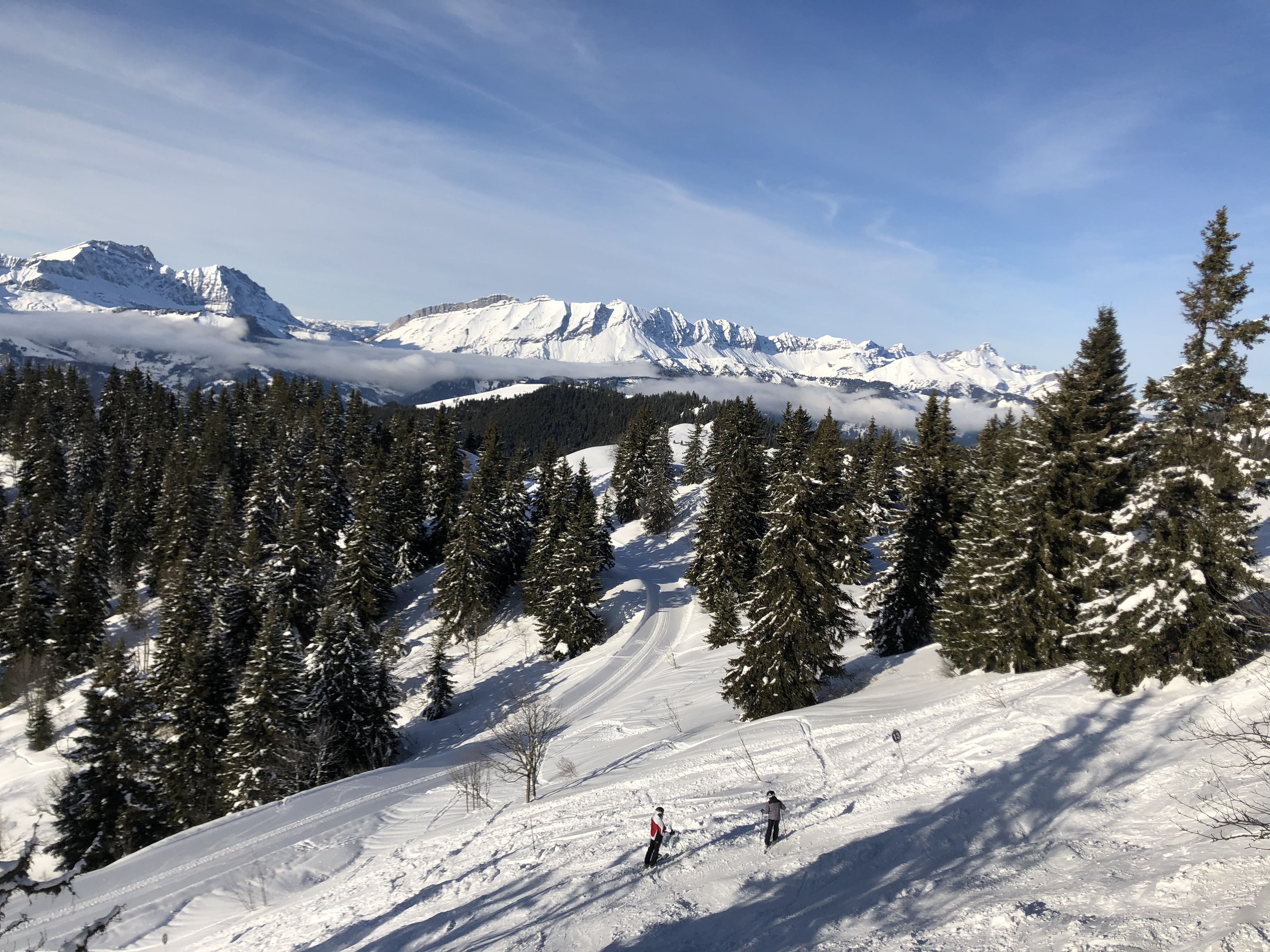 照片 法国(France) 阿尔利河畔普拉(Praz sur Arly) 2019-12 268