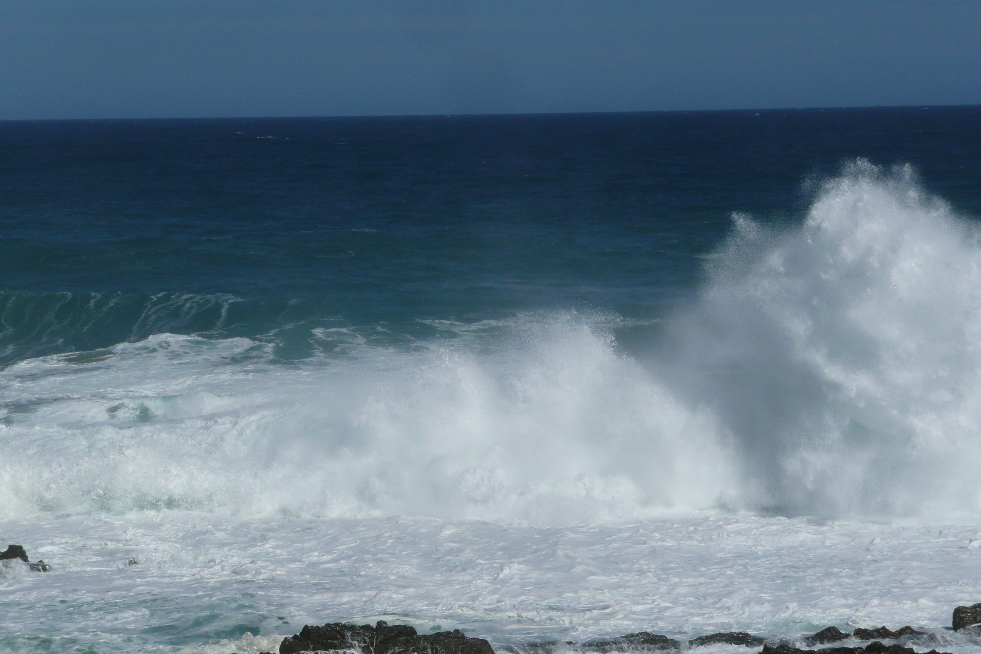 照片 南非(South Africa) 齐齐卡马国家公园(Tsitsikamma National Park) 2008-09 420