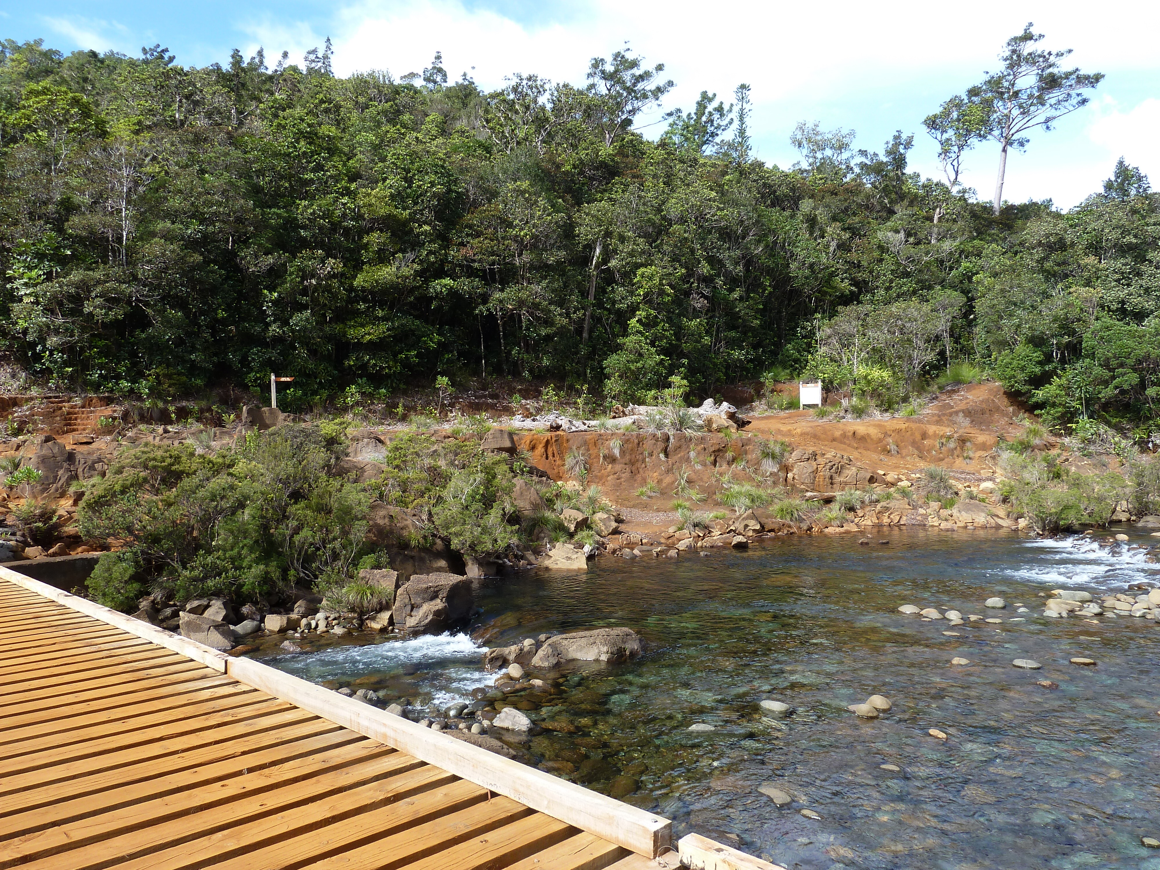 照片 新喀里多尼亚(New Caledonia) 蓝河公园(Parc de la Riviere Bleue) 2010-05 158