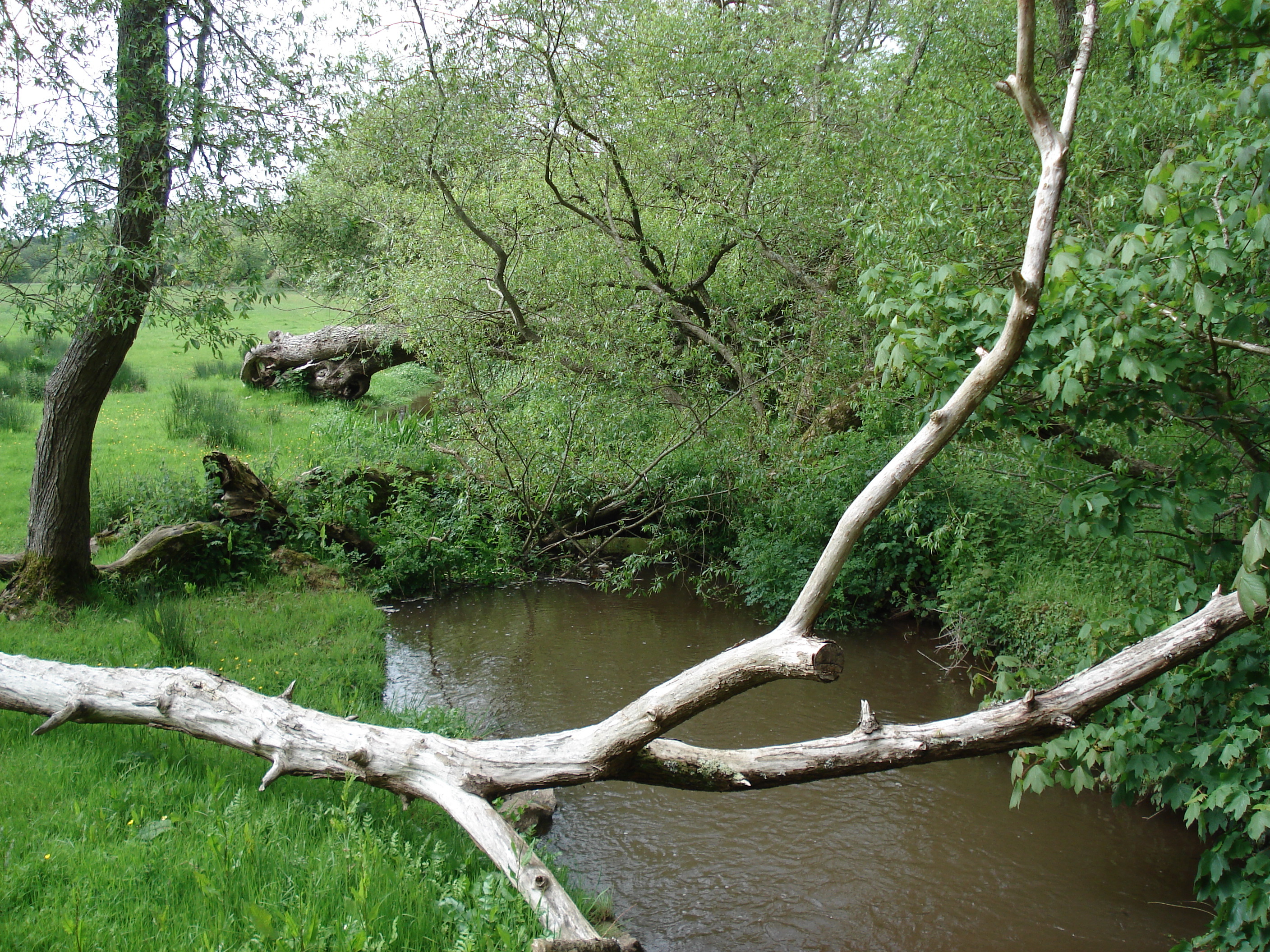照片 英国(United Kingdom) 彭布罗克郡(Pembrokeshire) 兰菲(Lamphey) 2006-05 12