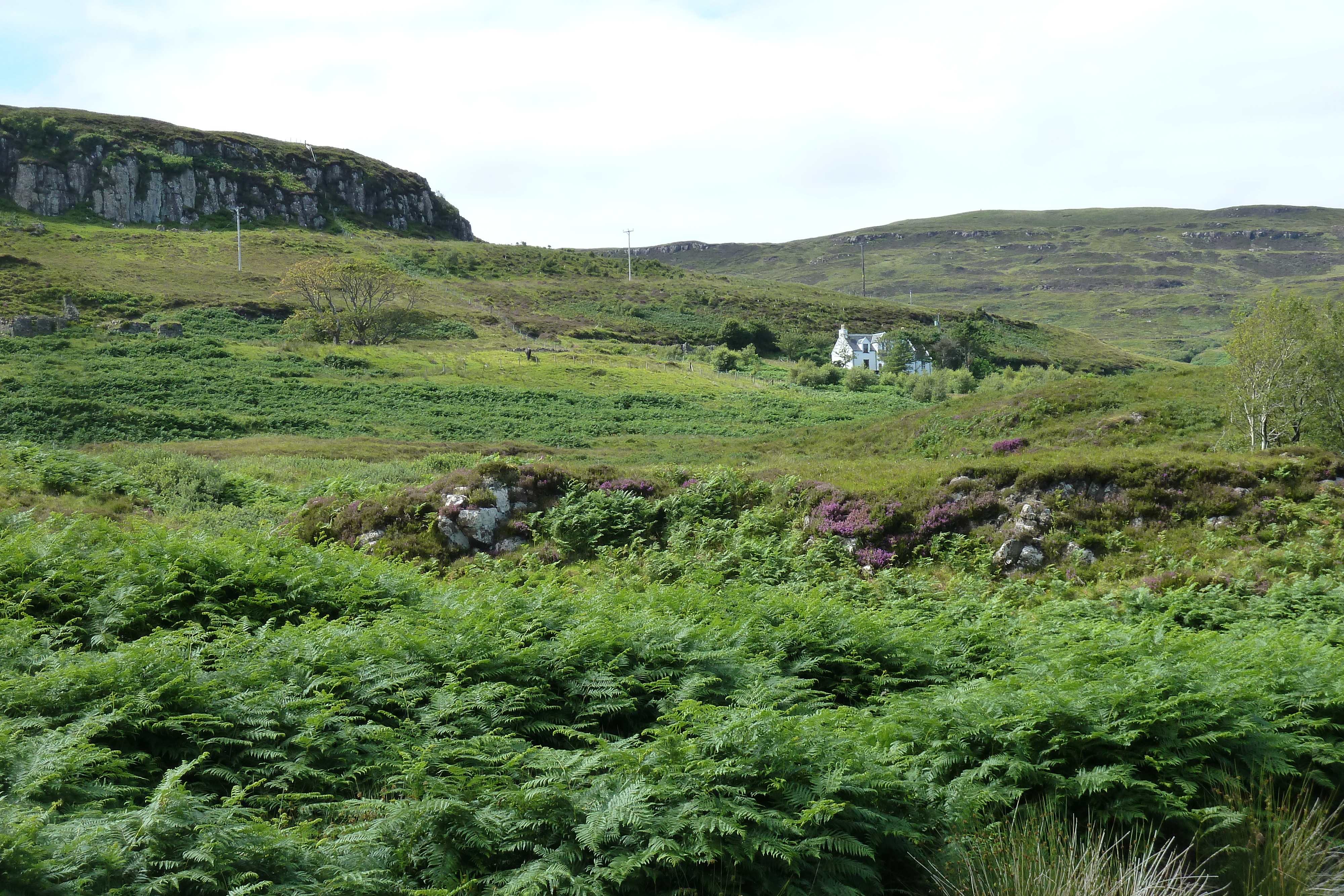 照片 英国(United Kingdom) 斯凯岛(Skye) 2011-07 95