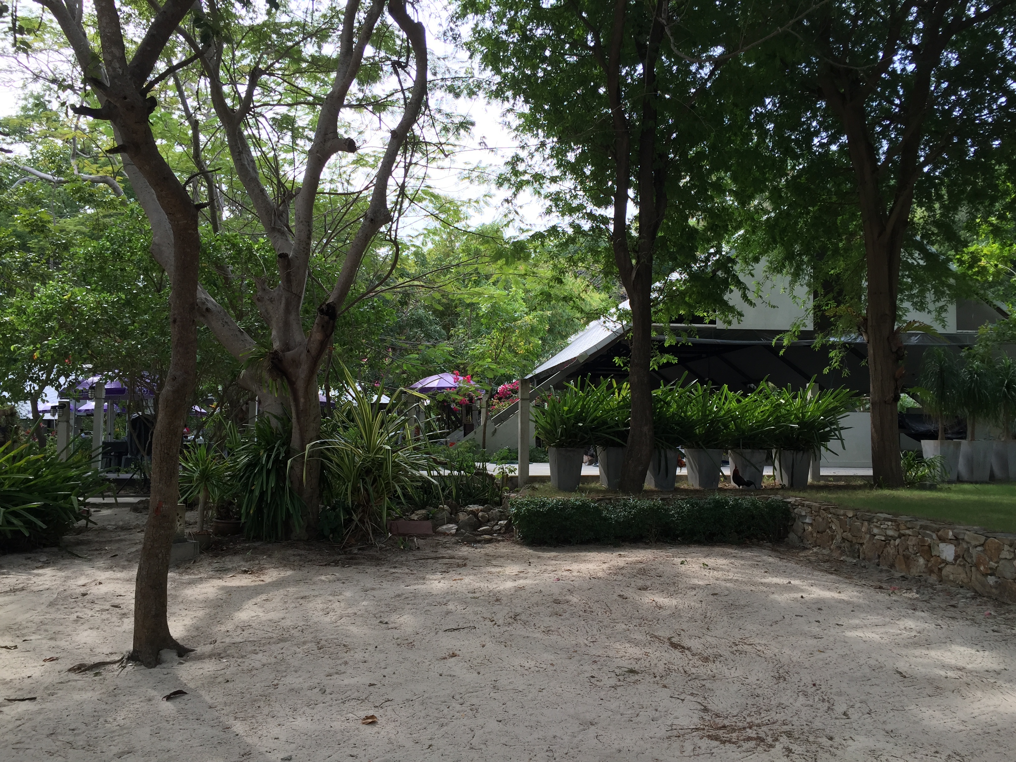 照片 泰国(Thailand) 沙美岛(Ko Samet) 2014-12 310
