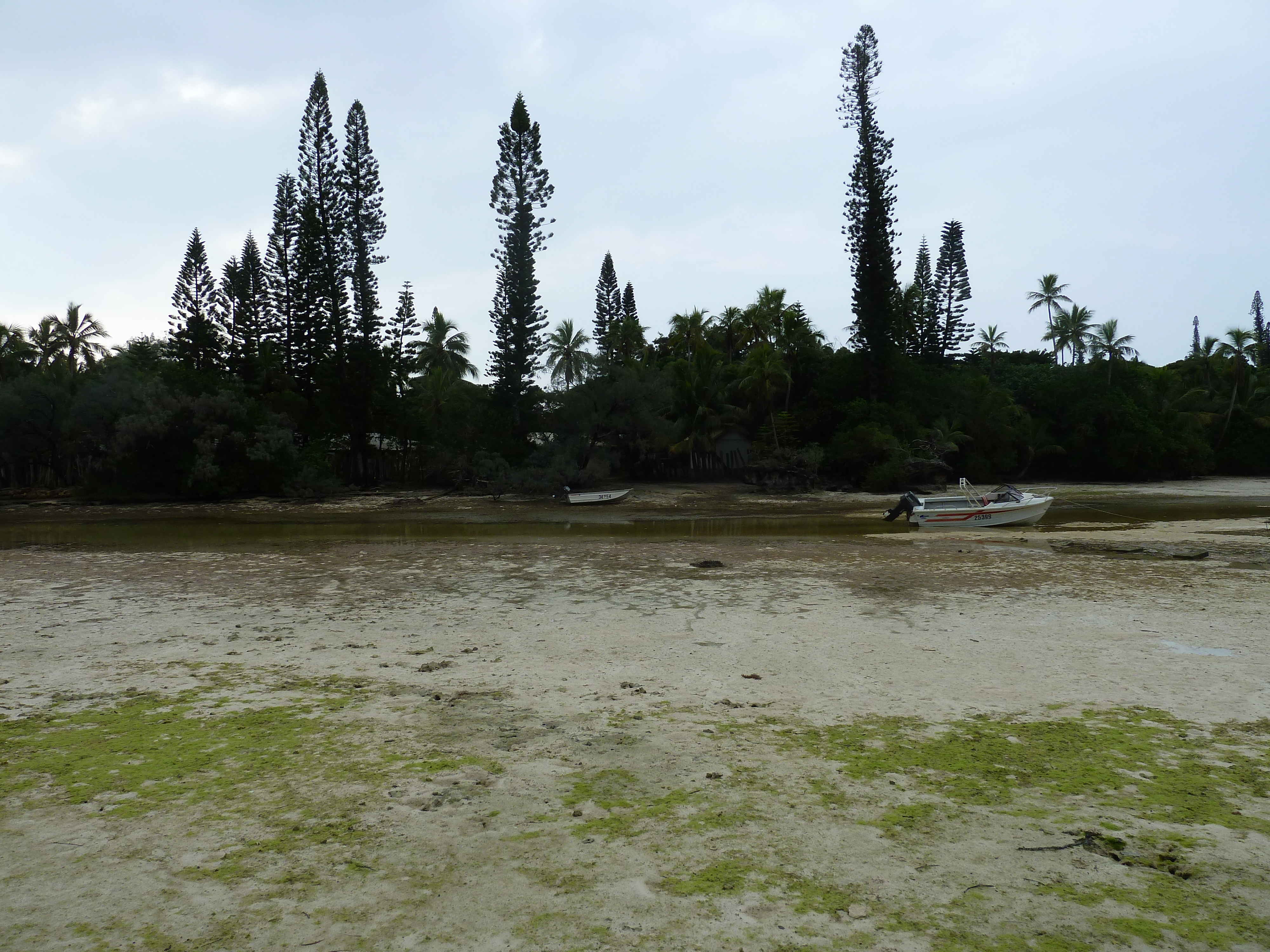 照片 新喀里多尼亚(New Caledonia) 松树岛(Ile des pins) 奥罗湾(Oro Bay) 2010-05 105