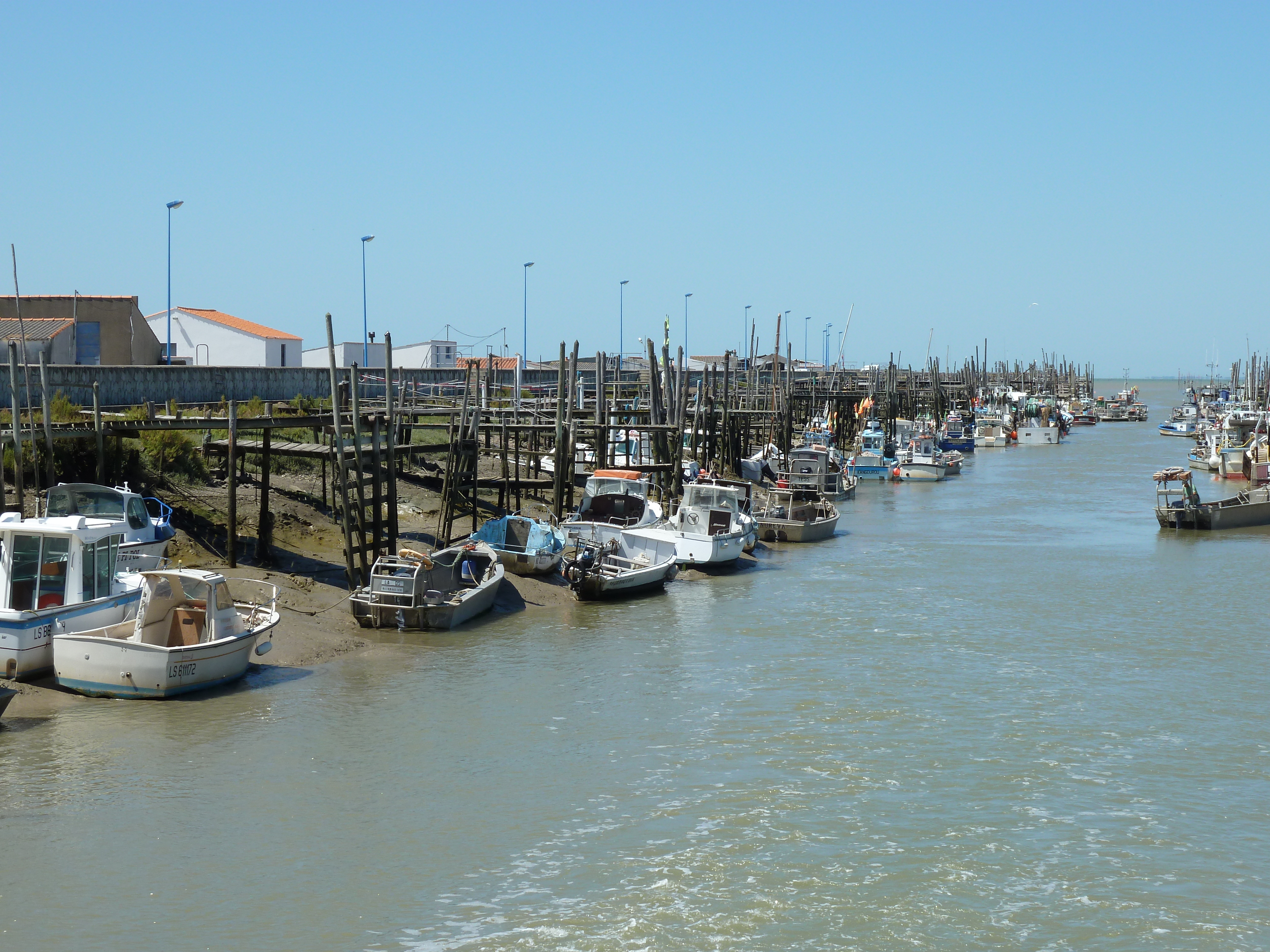 照片 法国(France) 努瓦尔穆捷(Noirmoutier) 2010-07 22