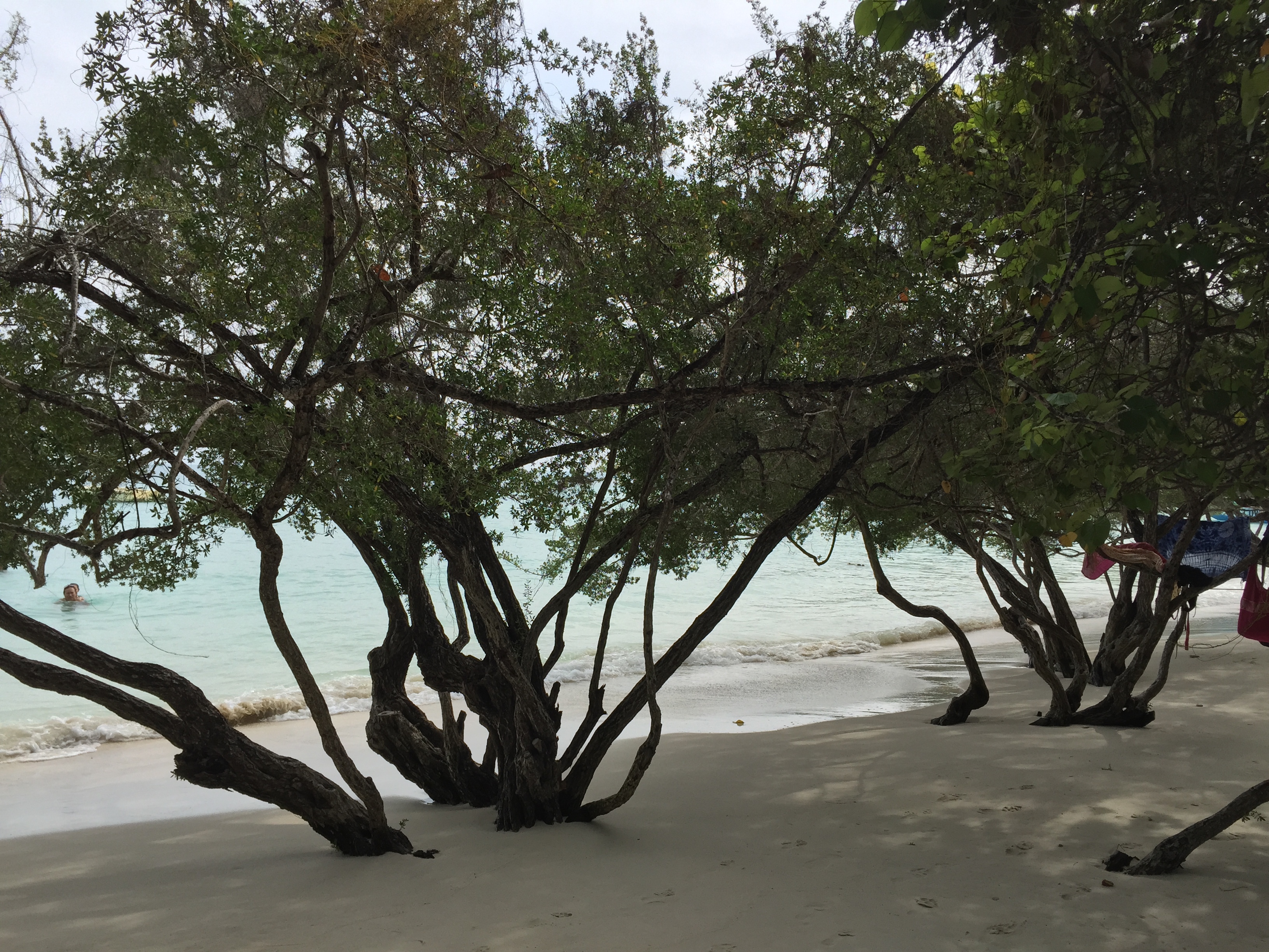 照片 泰国(Thailand) 沙美岛(Ko Samet) 2014-12 58