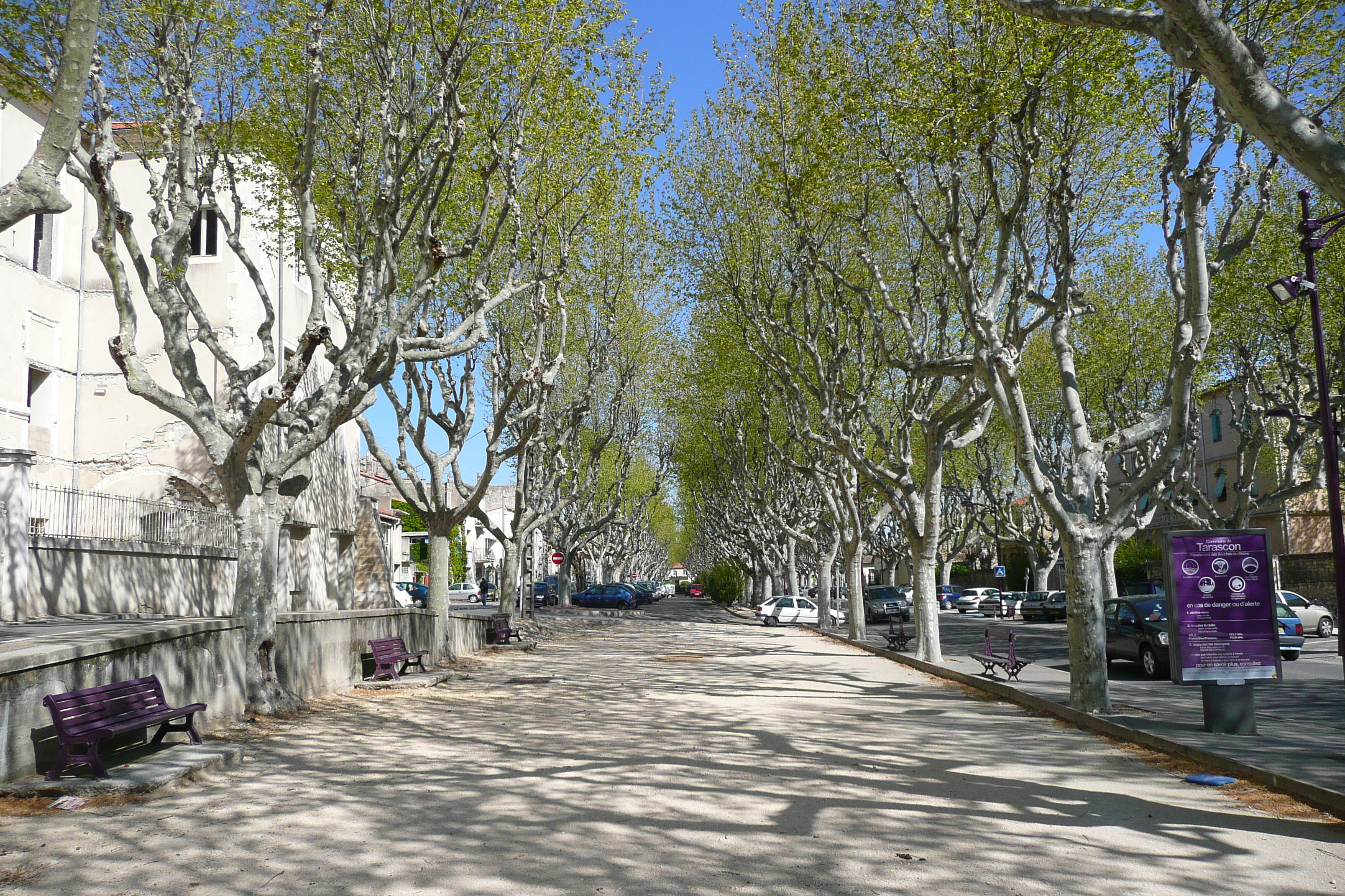 照片 法国(France) 塔拉斯孔(Tarascon) 2008-04 56