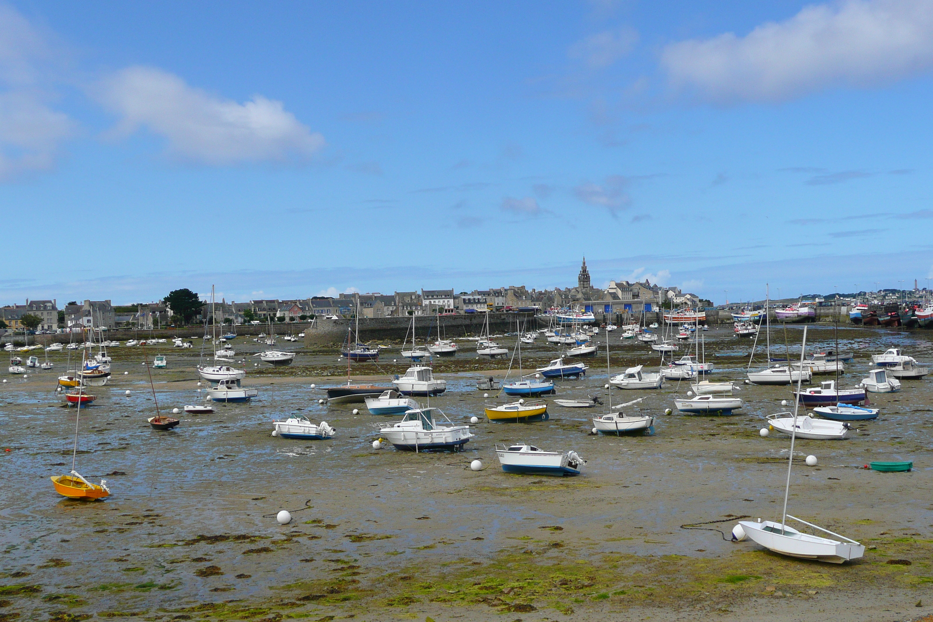 照片 法国(France) 罗斯科夫(Roscoff) 2007-08 64