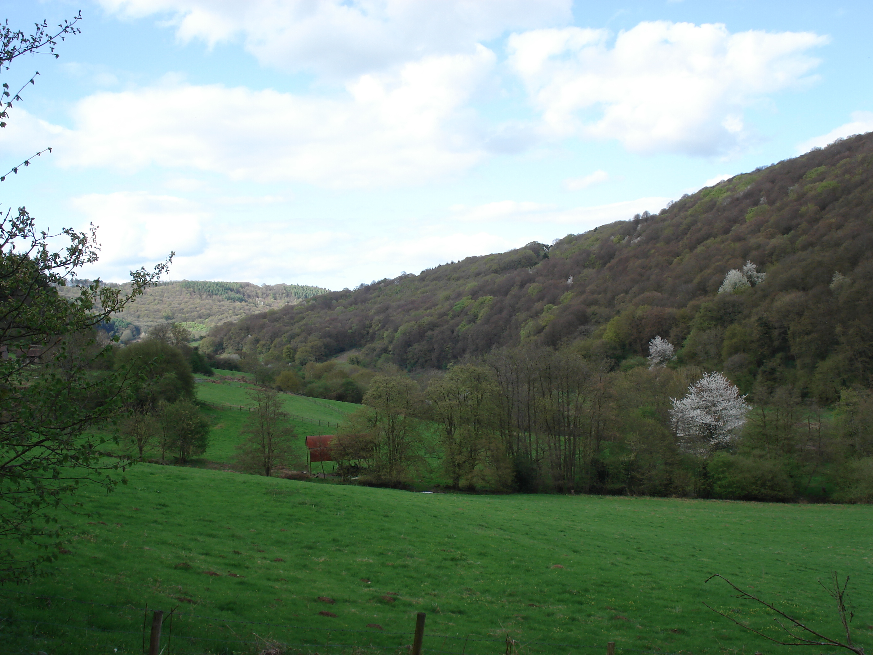 照片 英国(United Kingdom) 瓦伊河谷(Wye Valley) 2006-05 36