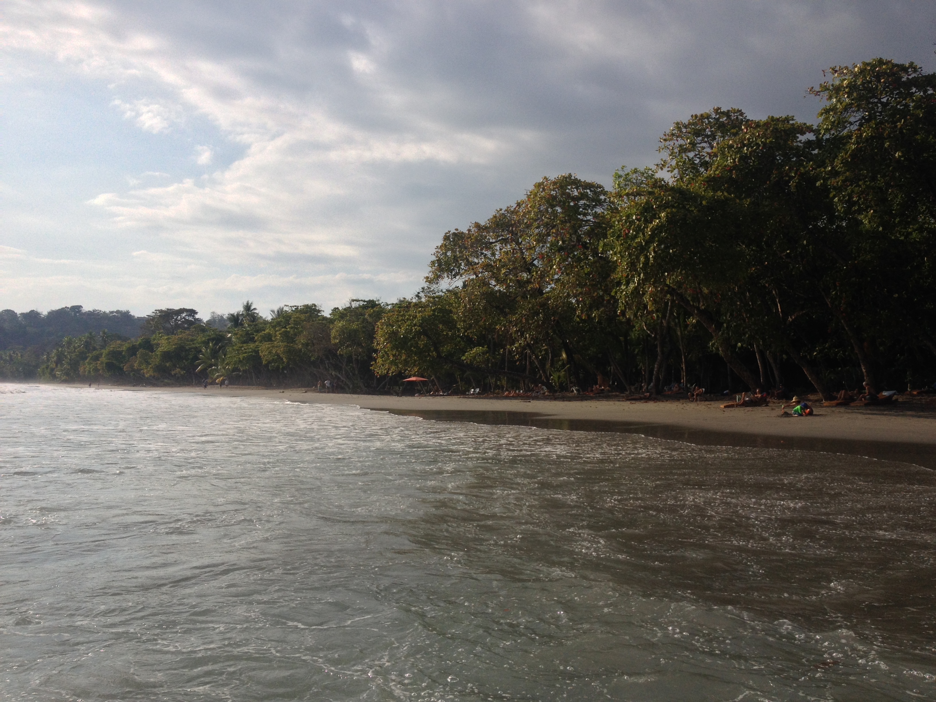 照片 哥斯达黎加(Costa Rica) 曼努埃尔安东尼奥(Manuel Antonio) 2015-03 92