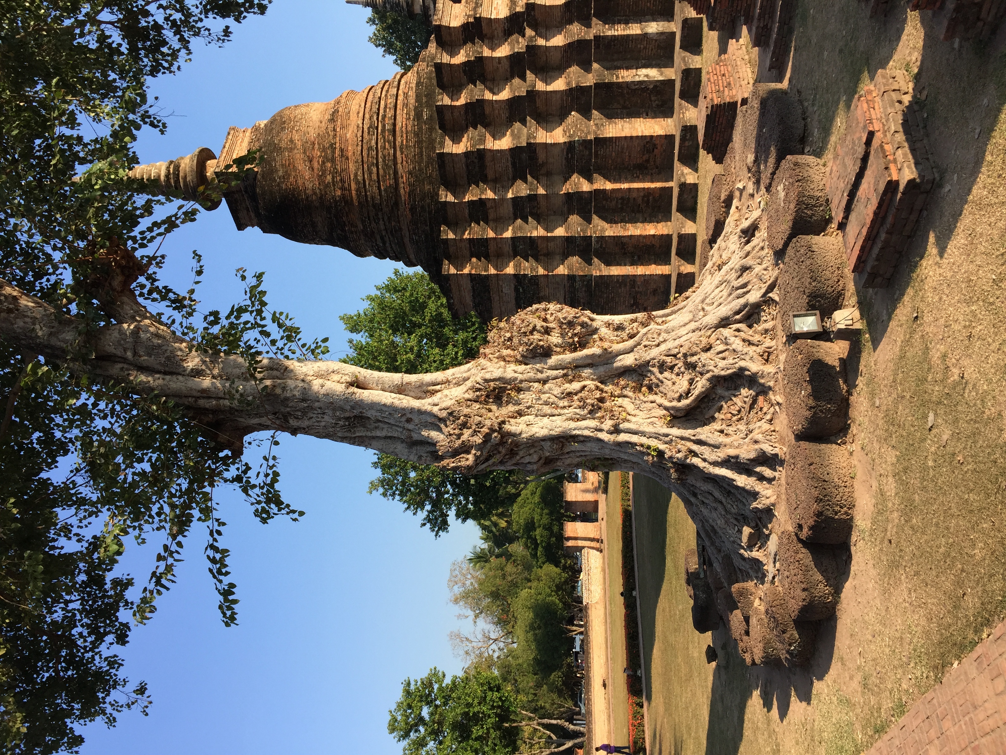 照片 泰国(Thailand) 素可泰(Sukhothai) 2014-12 37