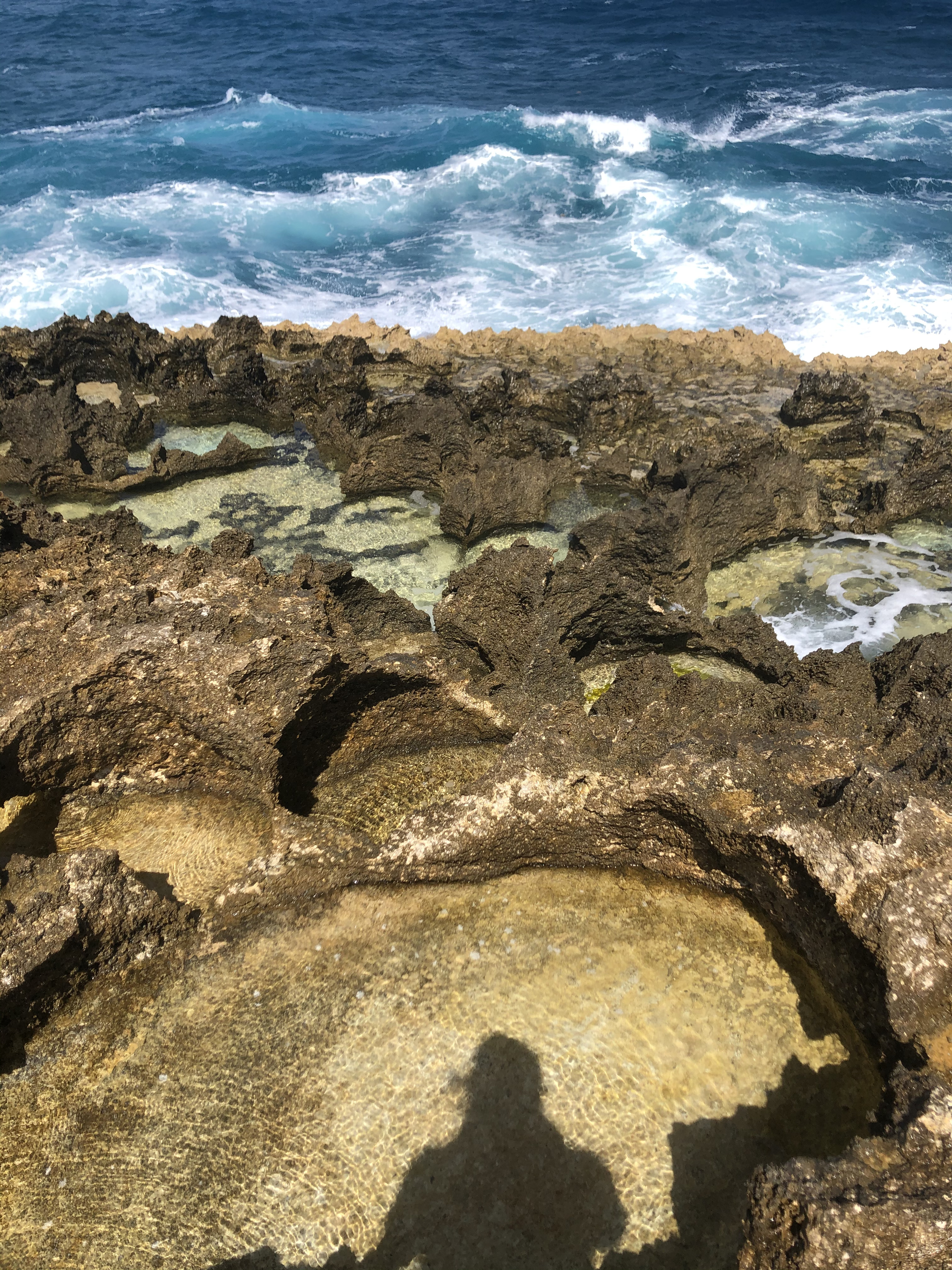 照片 瓜德罗普(Guadeloupe) 城堡角(Castle Point) 2021-02 180