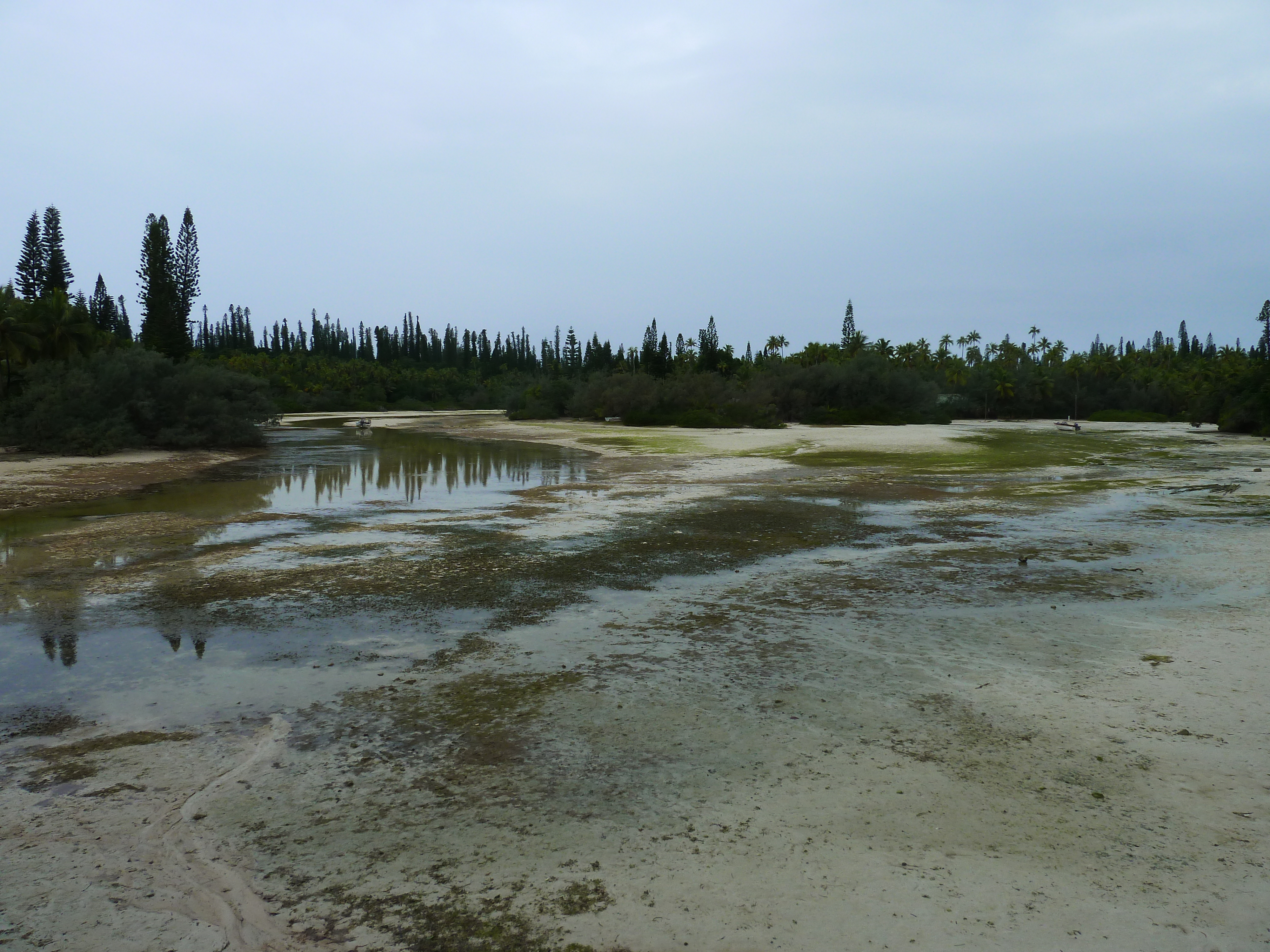 照片 新喀里多尼亚(New Caledonia) 松树岛(Ile des pins) 奥罗湾(Oro Bay) 2010-05 83