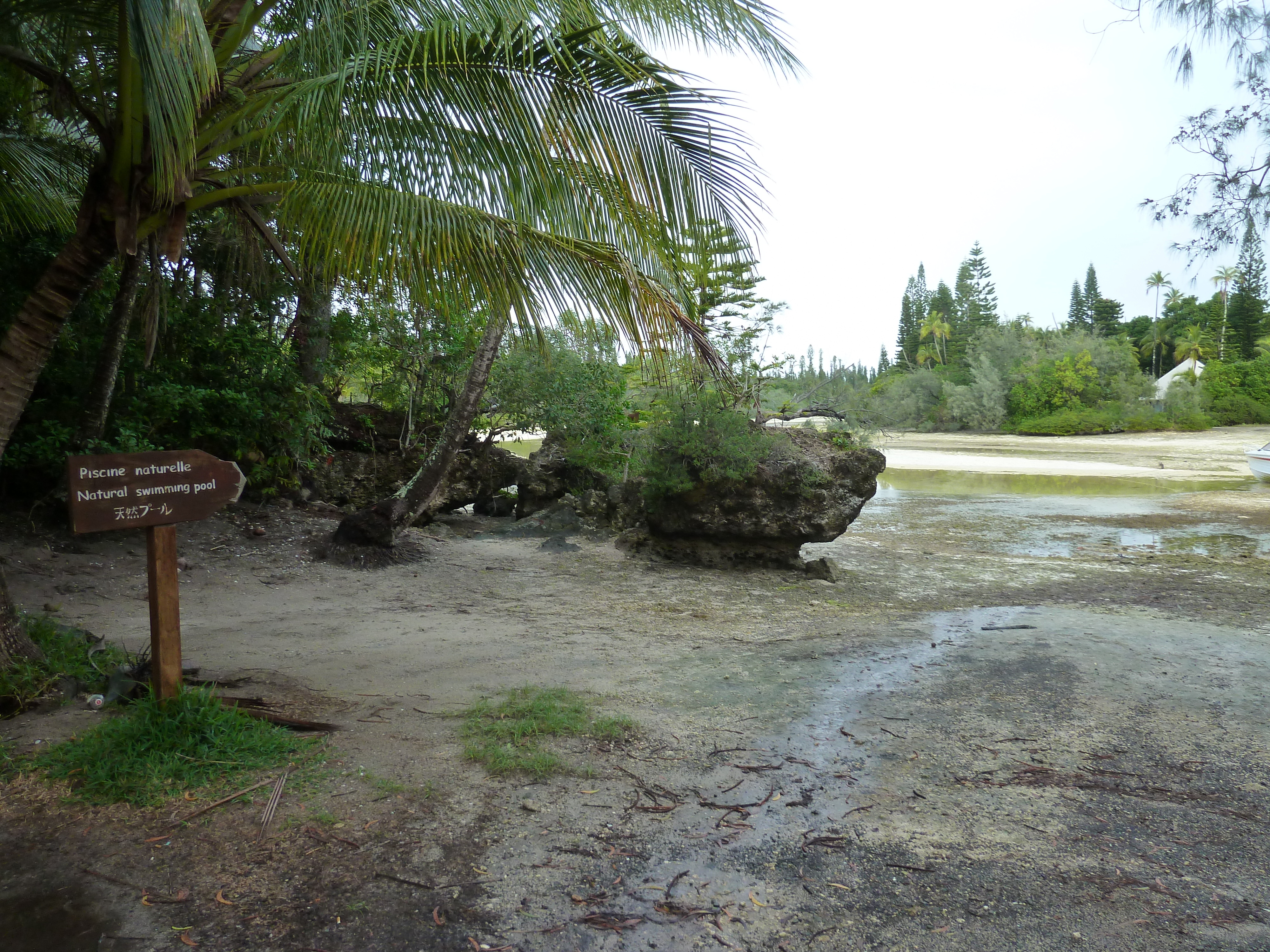 照片 新喀里多尼亚(New Caledonia) 松树岛(Ile des pins) 奥罗湾(Oro Bay) 2010-05 103