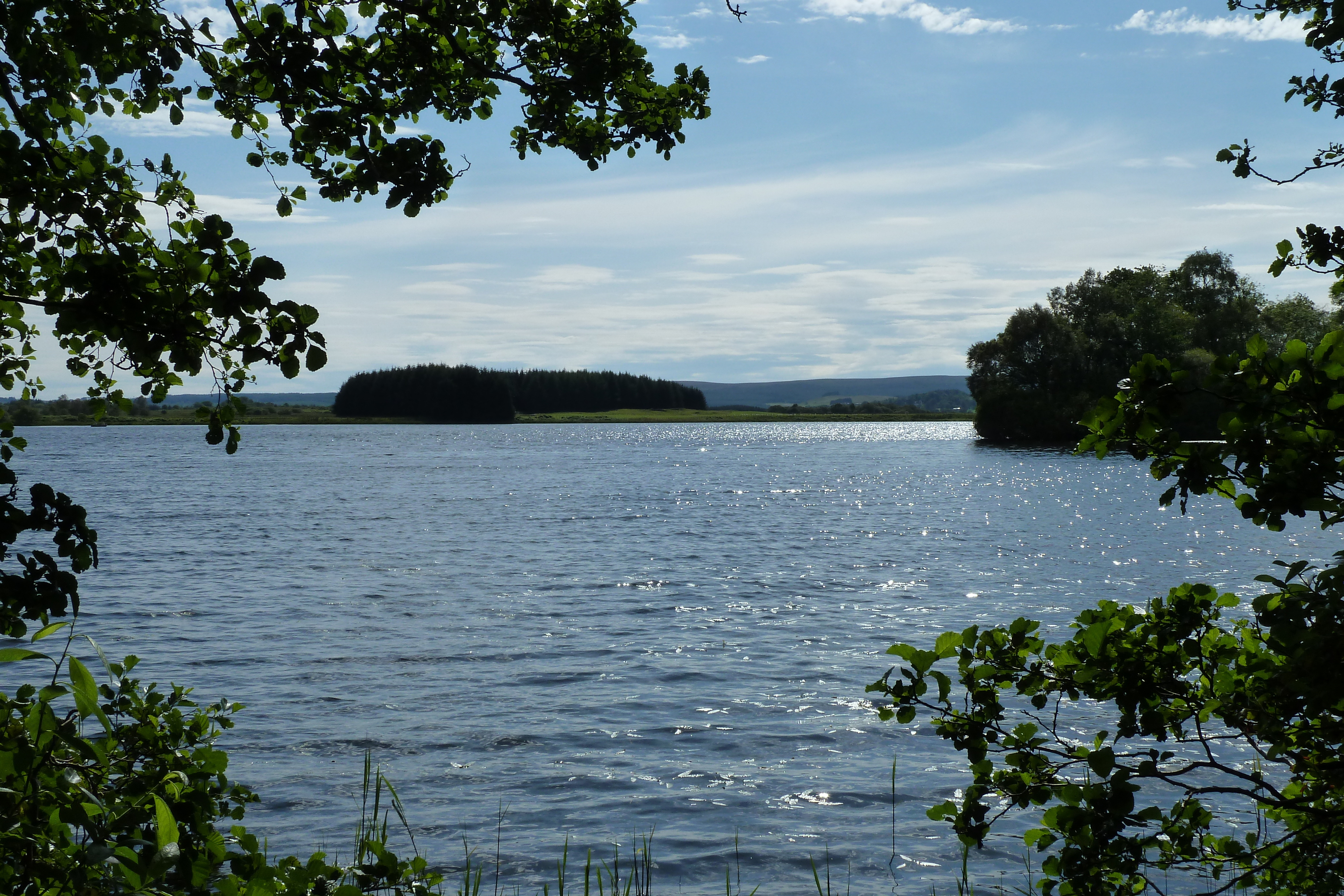 照片 英国(United Kingdom) 苏格兰(Scotland) 英奇马霍姆修道院(Inchmahome Priory) 2011-07 11