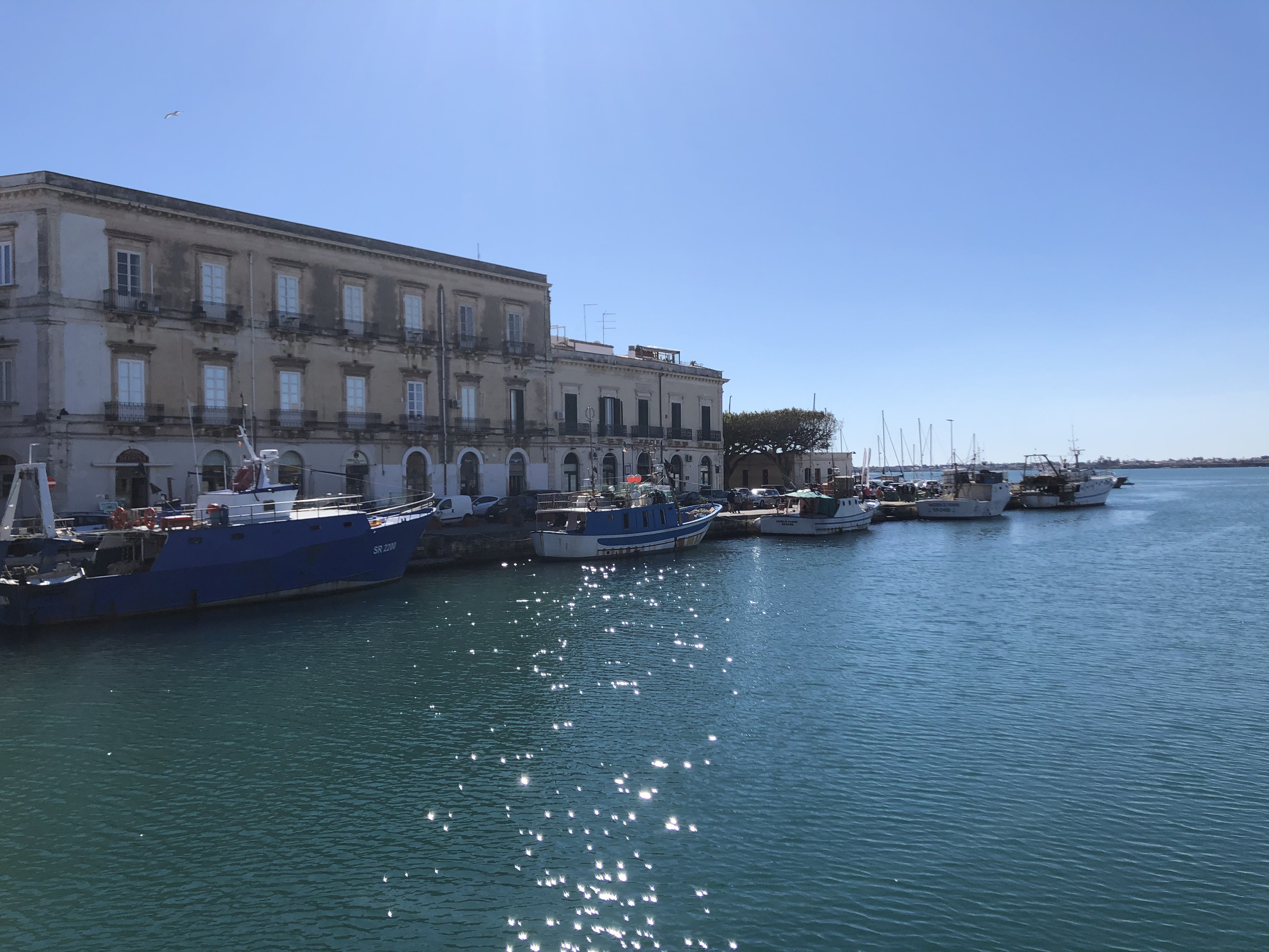 照片 意大利(Italy) 西西里岛(Sicily) 奥尔蒂贾岛(Ortigia) 2020-02 118