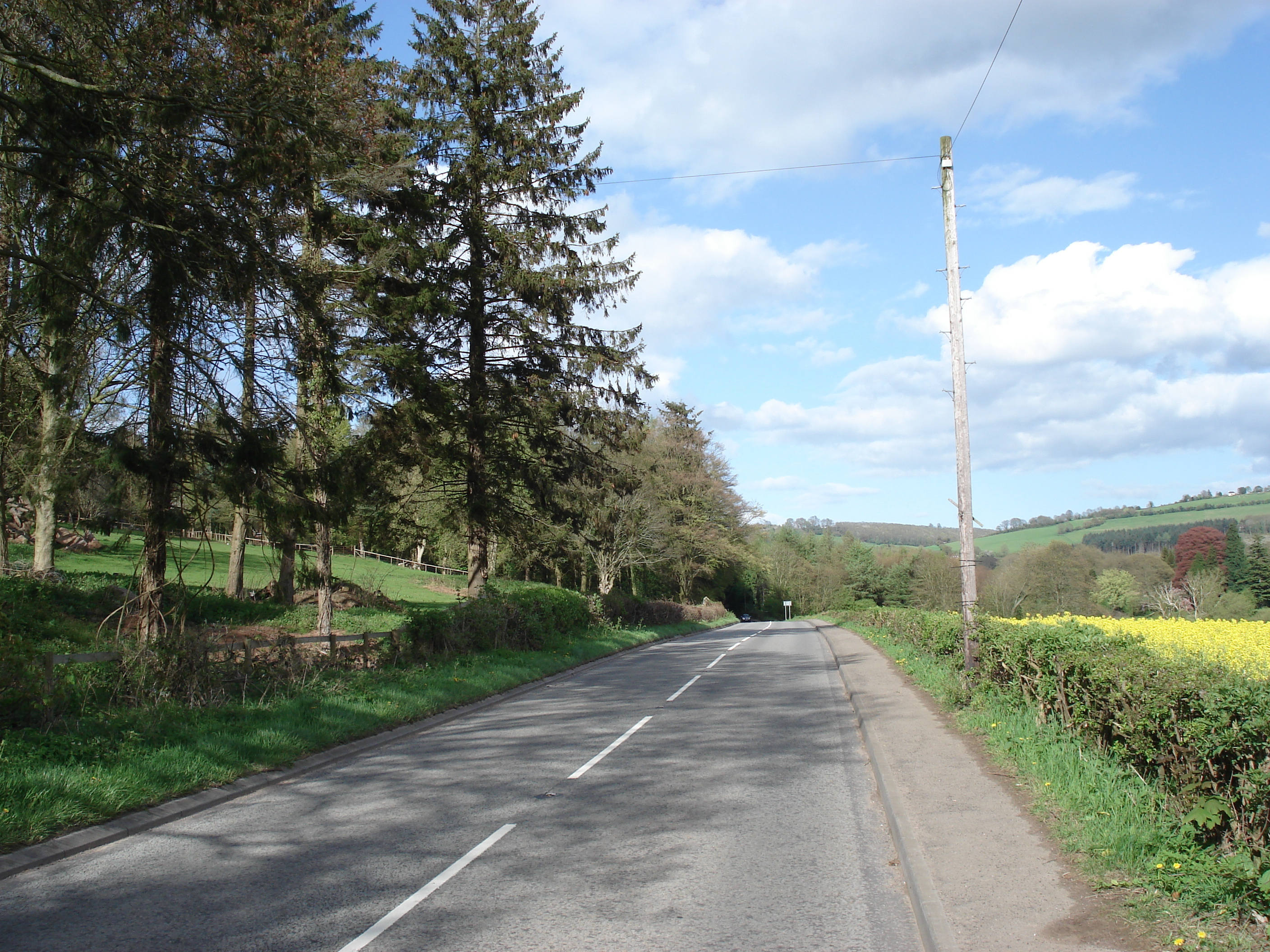 照片 英国(United Kingdom) 瓦伊河谷(Wye Valley) 2006-05 40