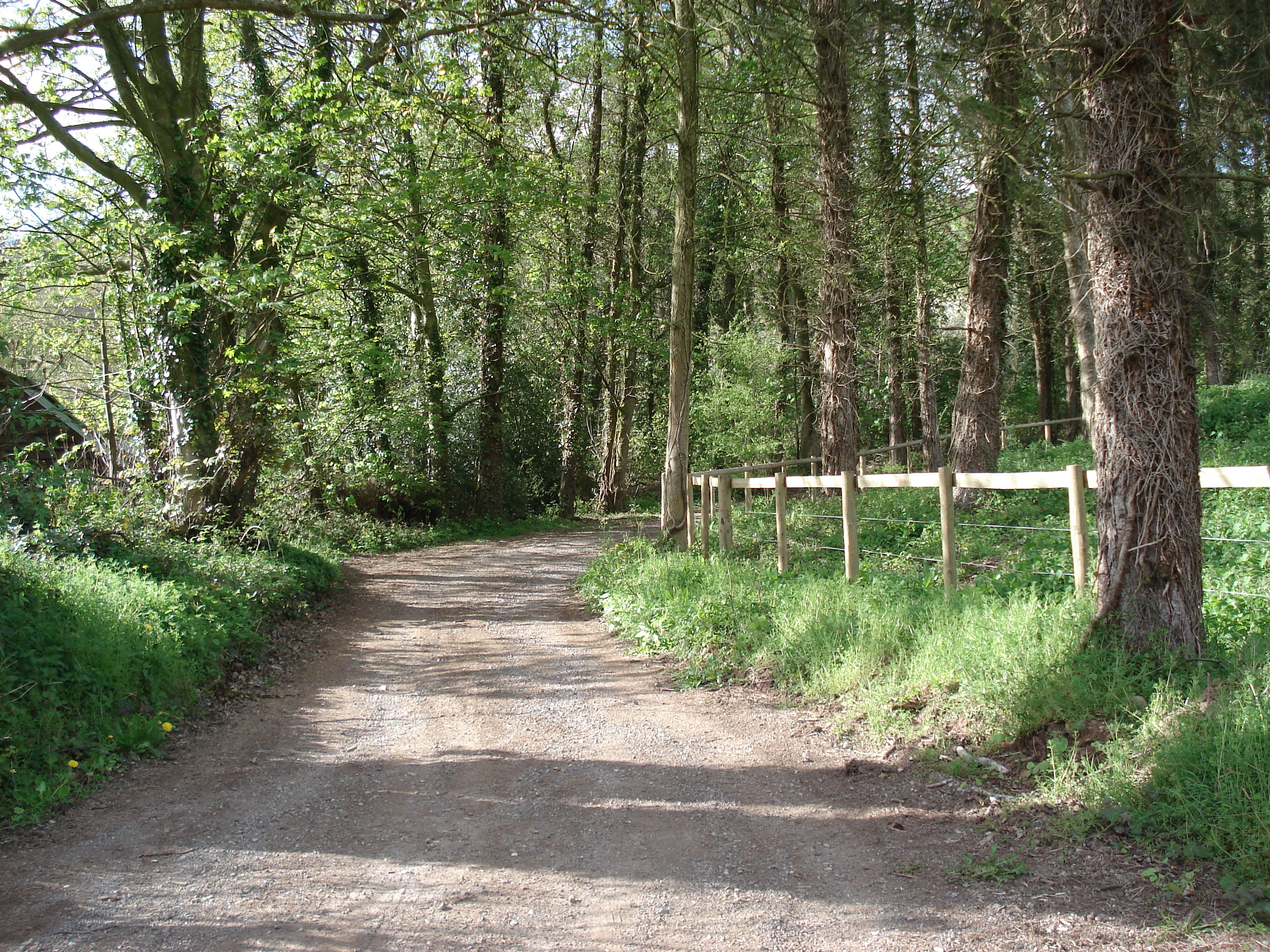 照片 英国(United Kingdom) 瓦伊河谷(Wye Valley) 2006-05 45