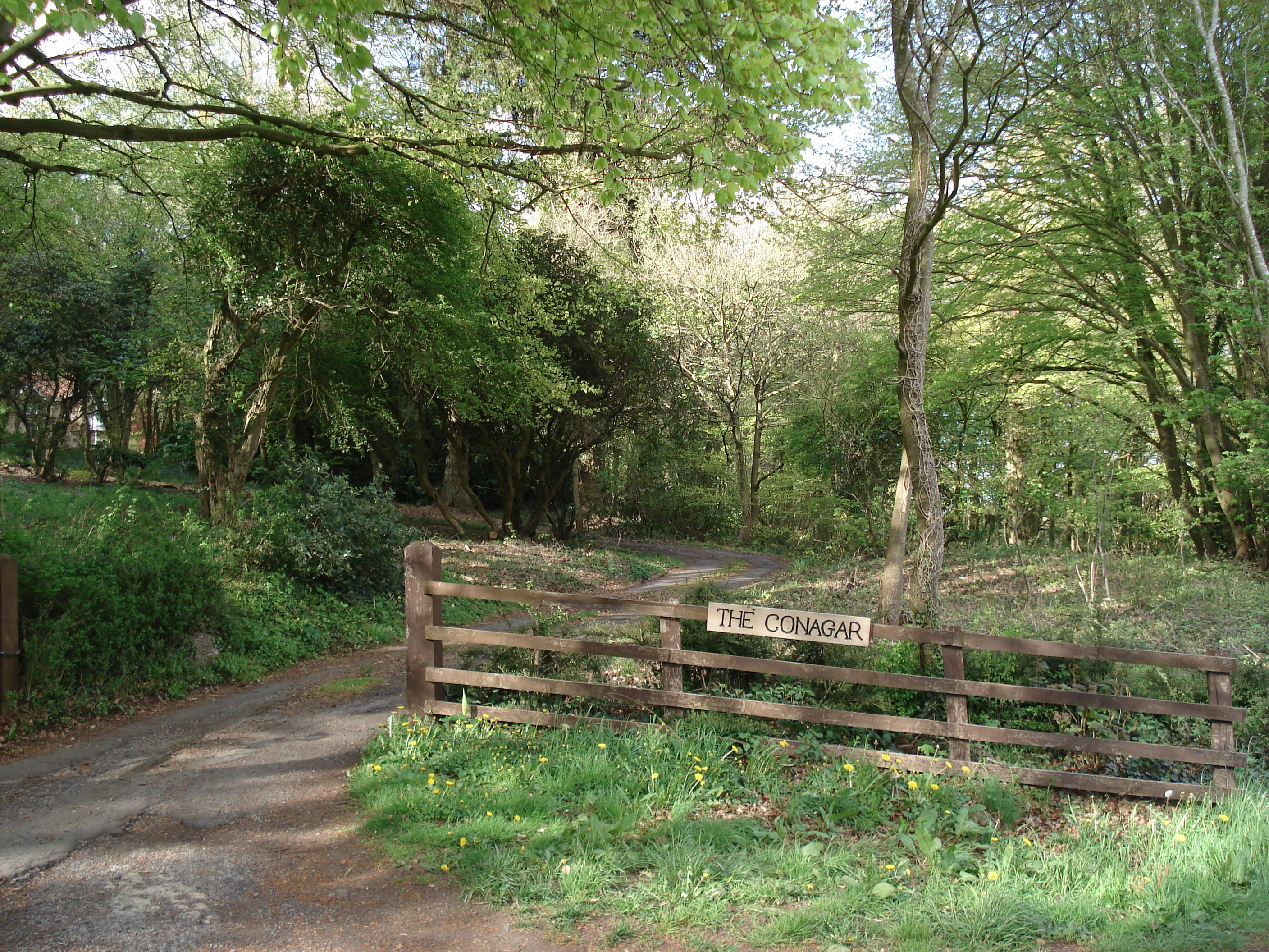 照片 英国(United Kingdom) 瓦伊河谷(Wye Valley) 2006-05 34