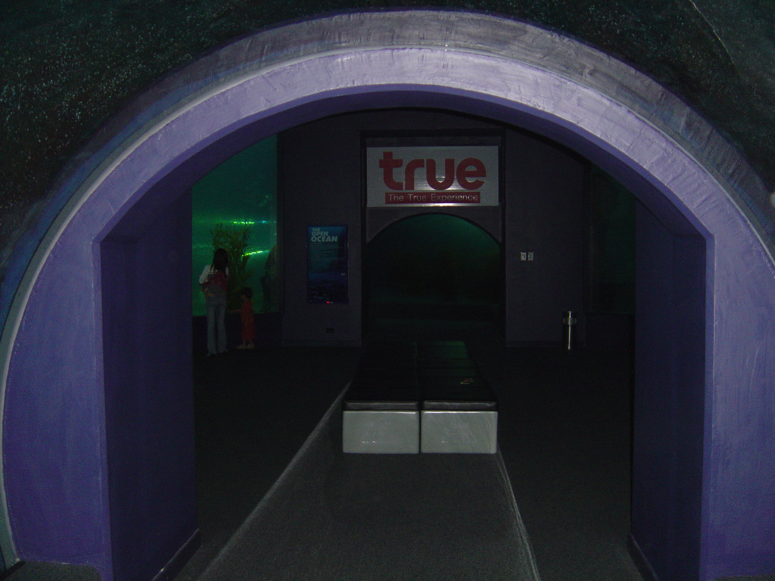 照片 泰国(Thailand) 曼谷(Bangkok) 暹罗海洋世界(Siam Ocean World) 2005-12 12