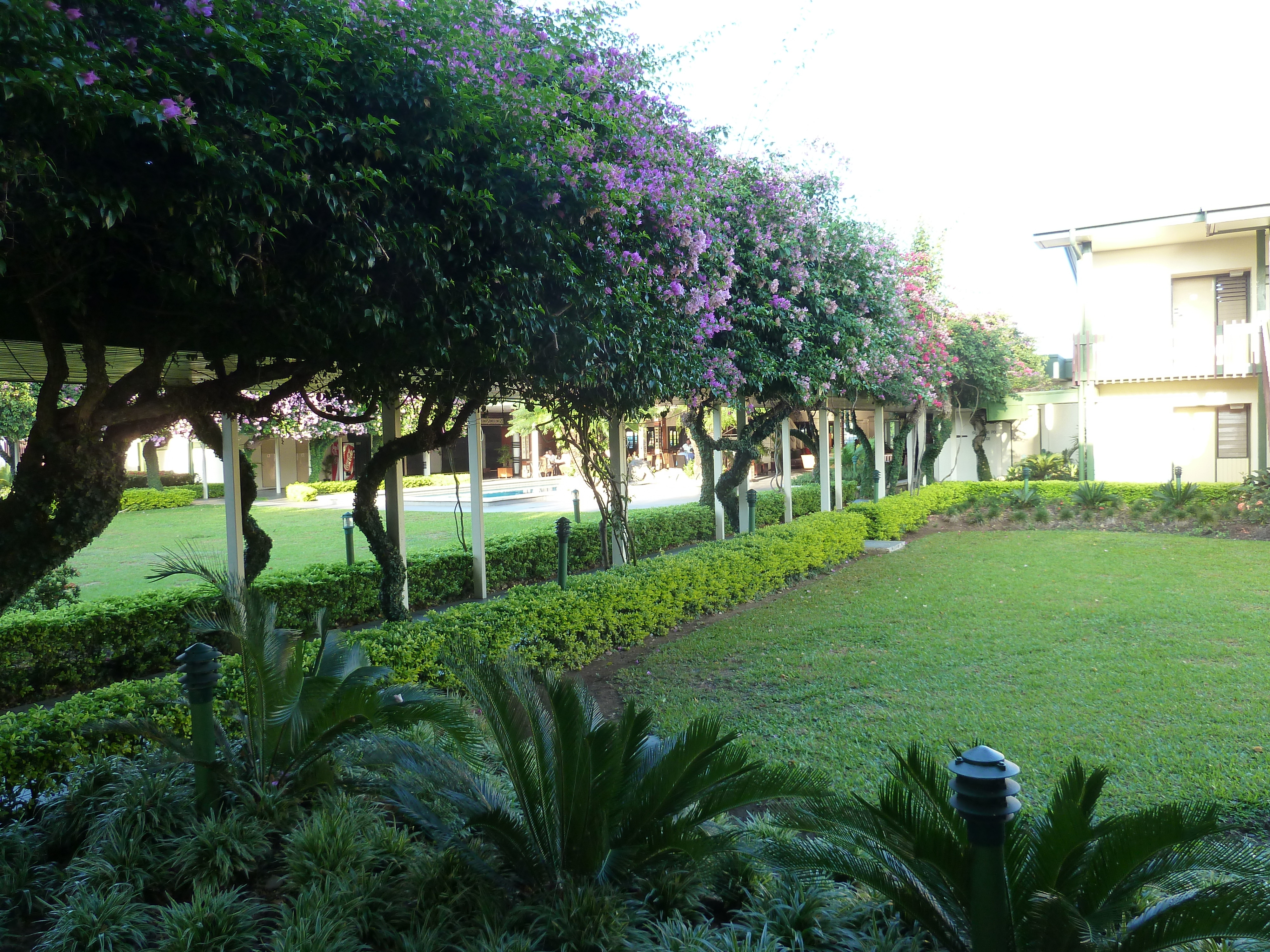 照片 斐济(Fiji) 楠迪莱佛士酒店(Raffles Nadi Hotel) 2010-05 5