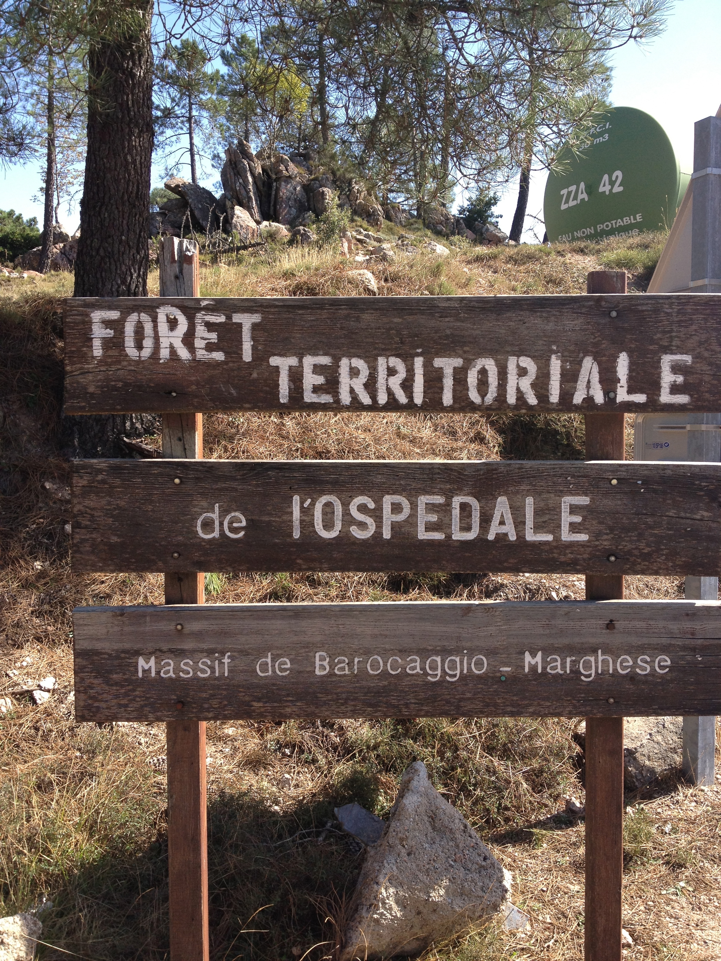 照片 法国(France) 科西嘉岛(Corsica) 奥斯佩达莱森林(L'ospedale Forest) 2012-09 67