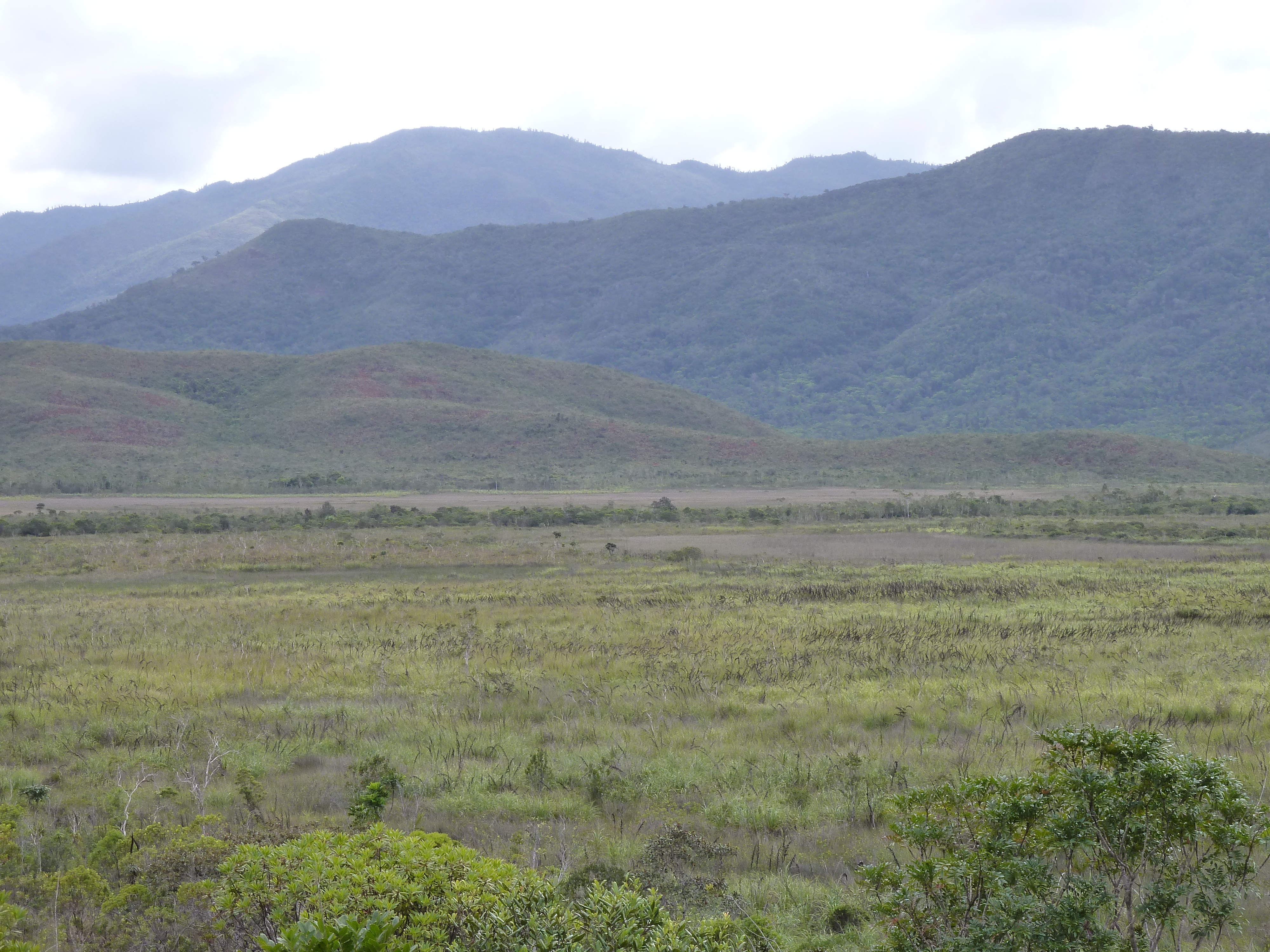 照片 新喀里多尼亚(New Caledonia) 蓝河公园(Parc de la Riviere Bleue) 2010-05 64
