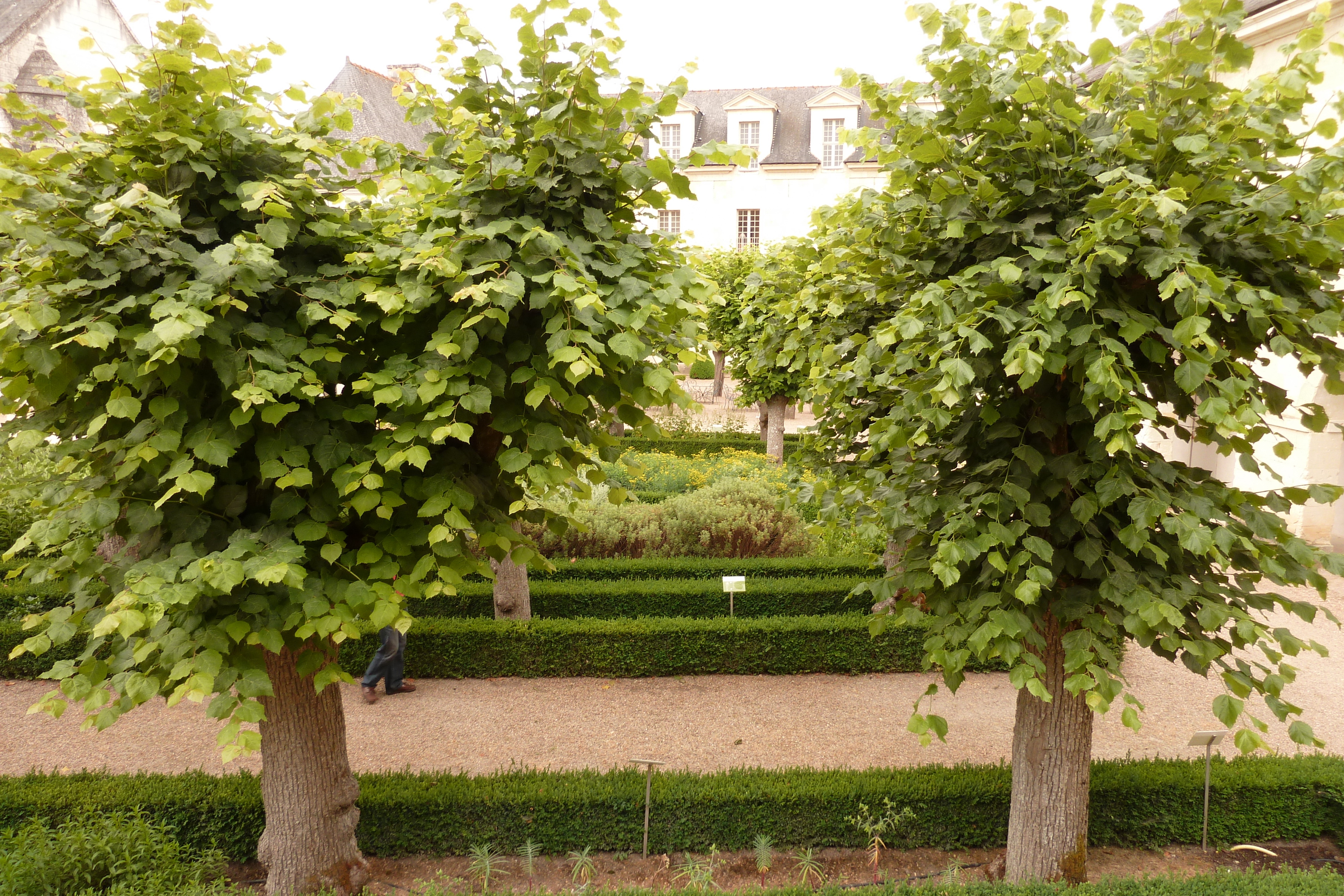 照片 法国(France) 丰特夫罗(Fontevraud) 2011-05 176