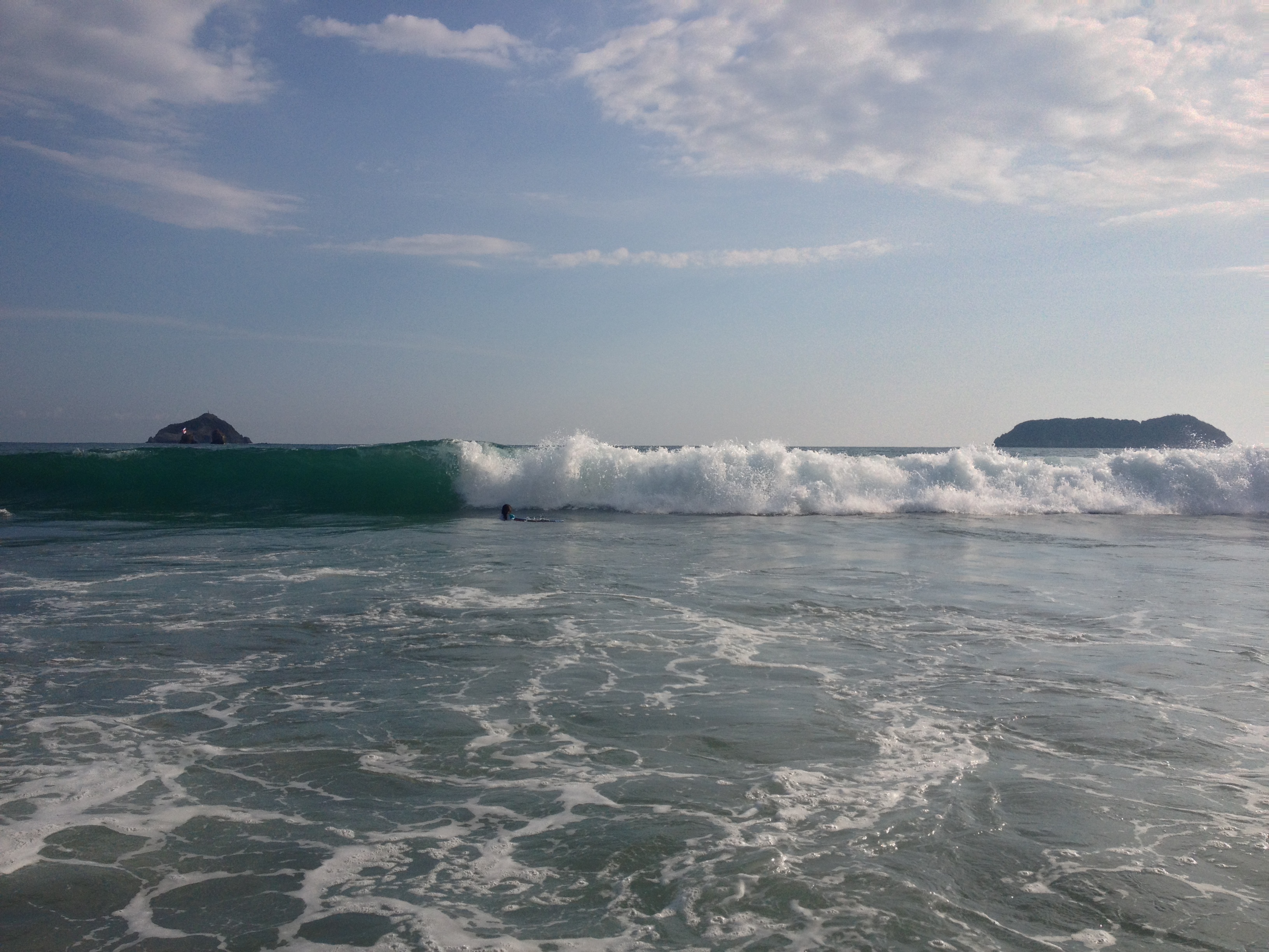 照片 哥斯达黎加(Costa Rica) 曼努埃尔安东尼奥(Manuel Antonio) 2015-03 18