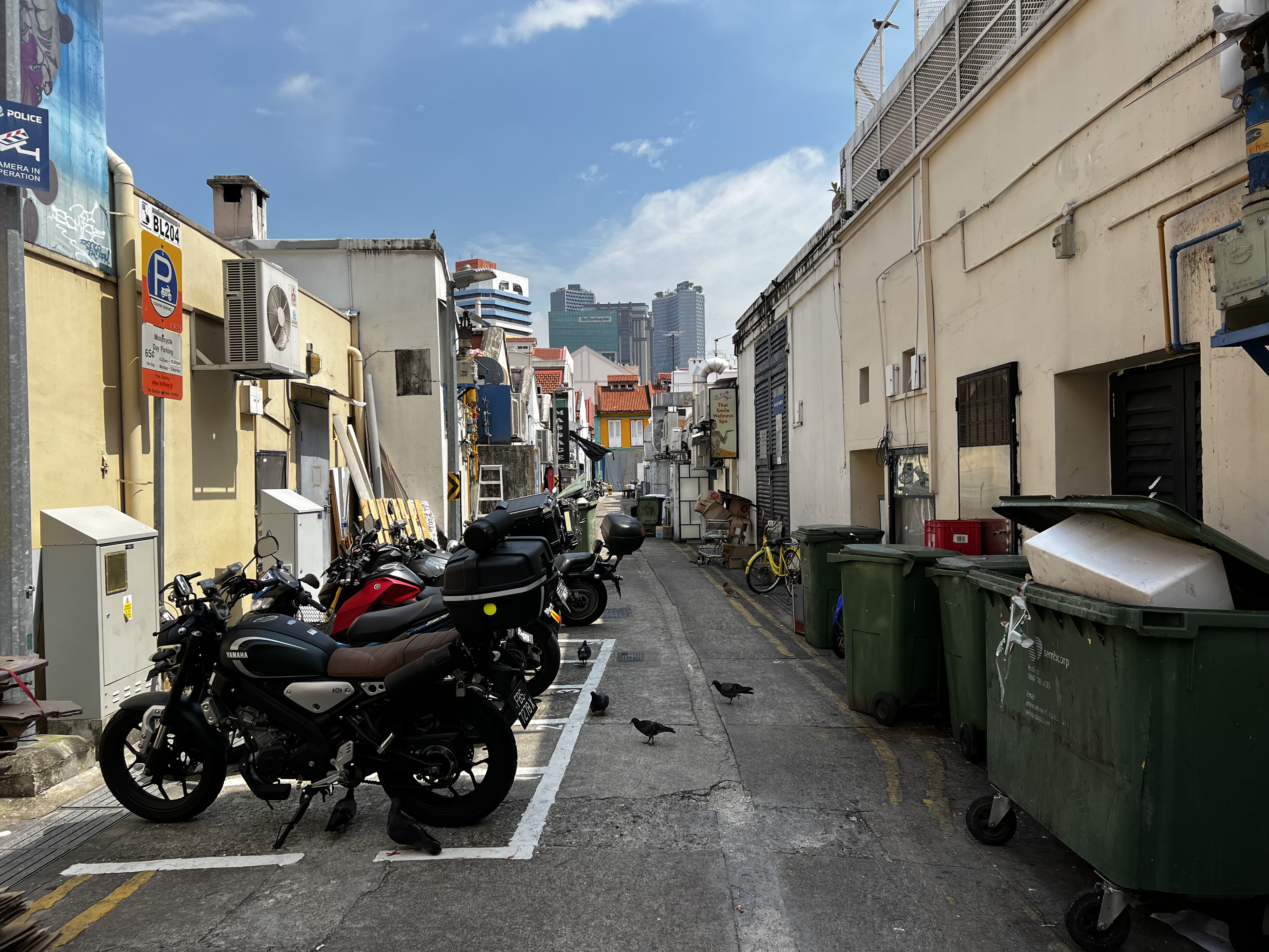 照片 新加坡(Singapore) 小印度(Little India) 2023-01 34