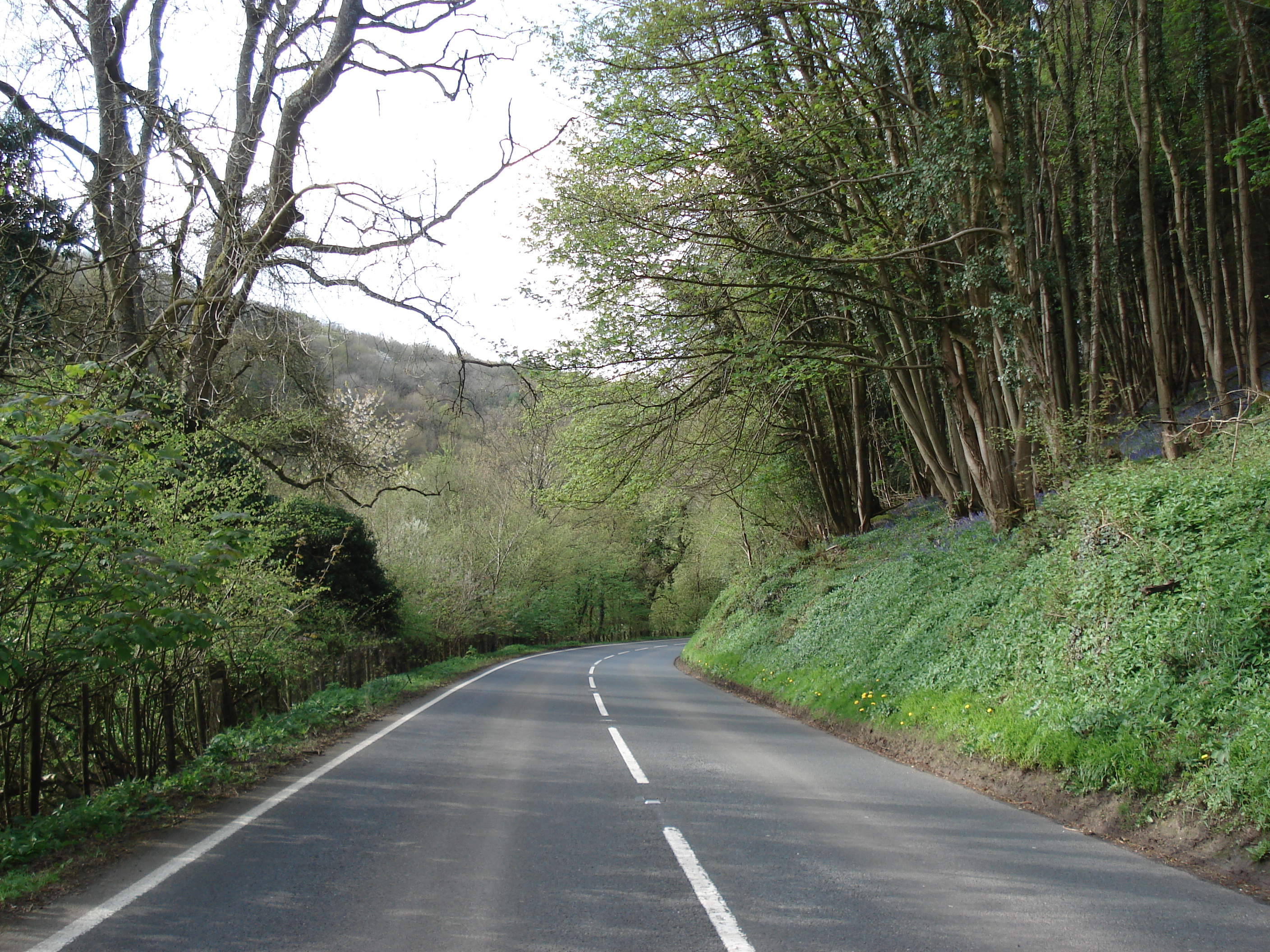 照片 英国(United Kingdom) 瓦伊河谷(Wye Valley) 2006-05 24