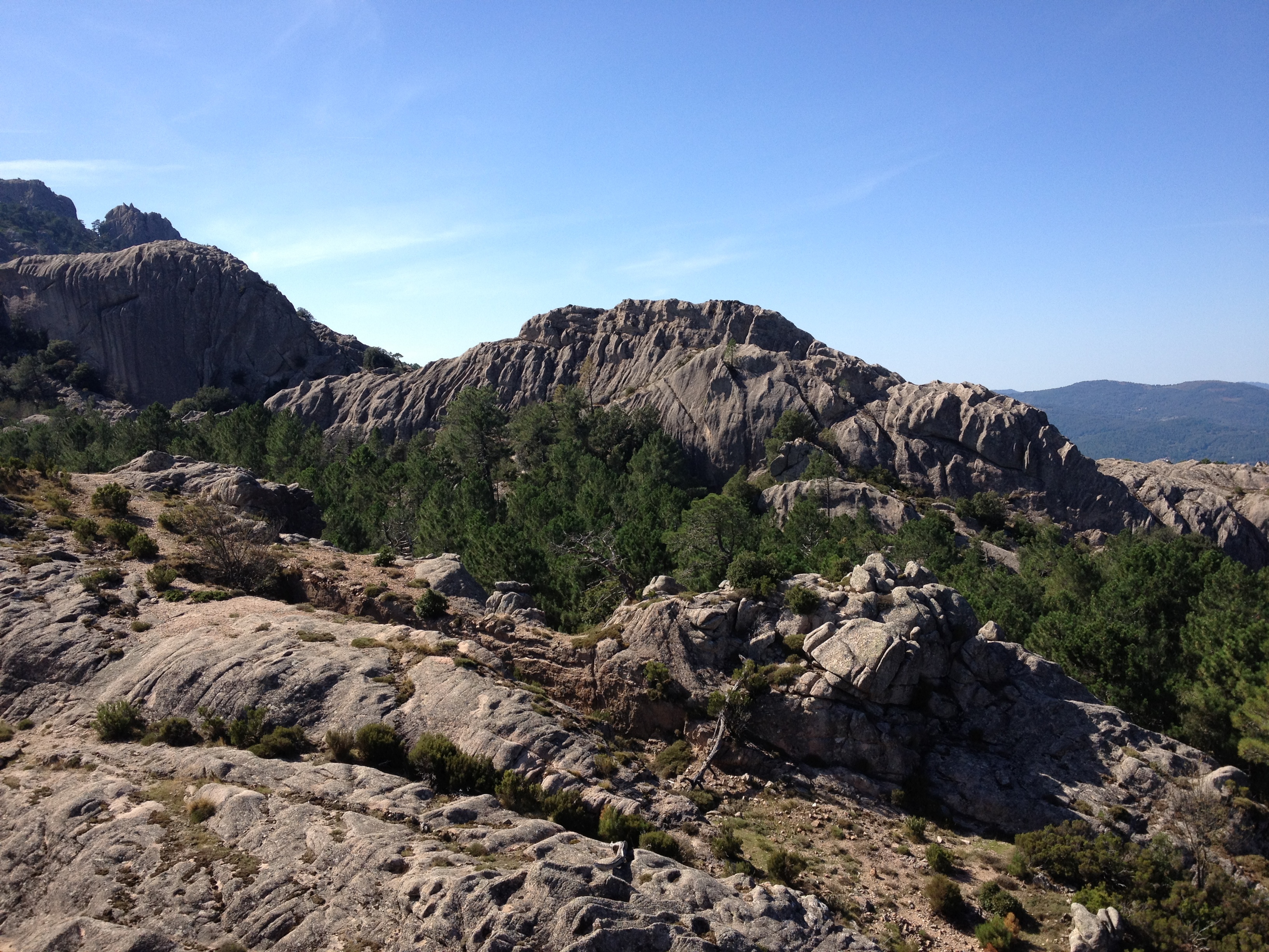 照片 法国(France) 科西嘉岛(Corsica) 奥斯佩达莱森林(L'ospedale Forest) 2012-09 56