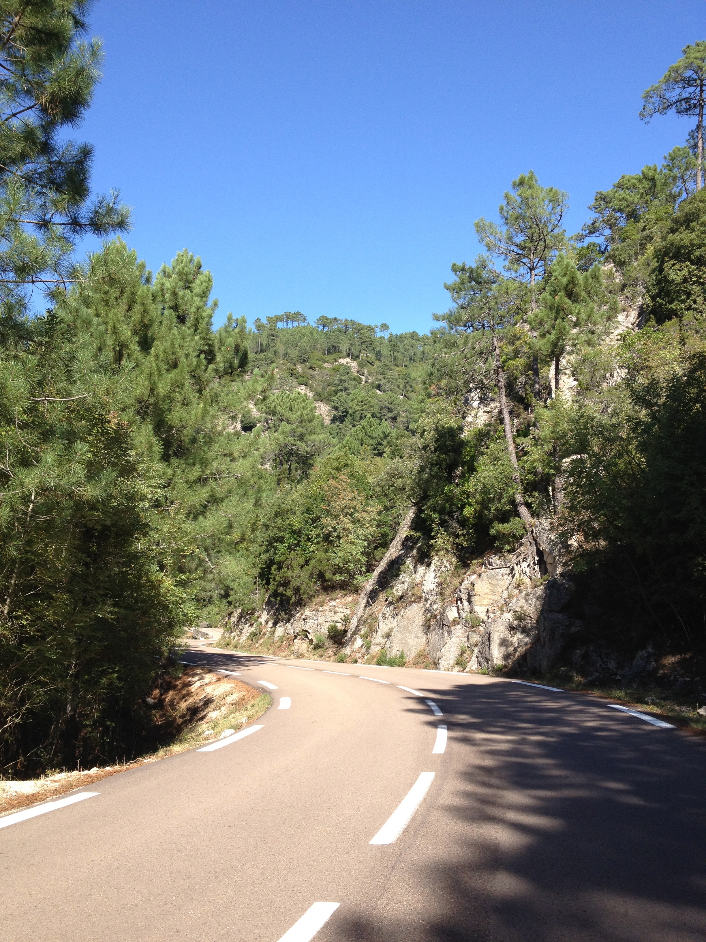 照片 法国(France) 科西嘉岛(Corsica) 奥斯佩达莱森林(L'ospedale Forest) 2012-09 47