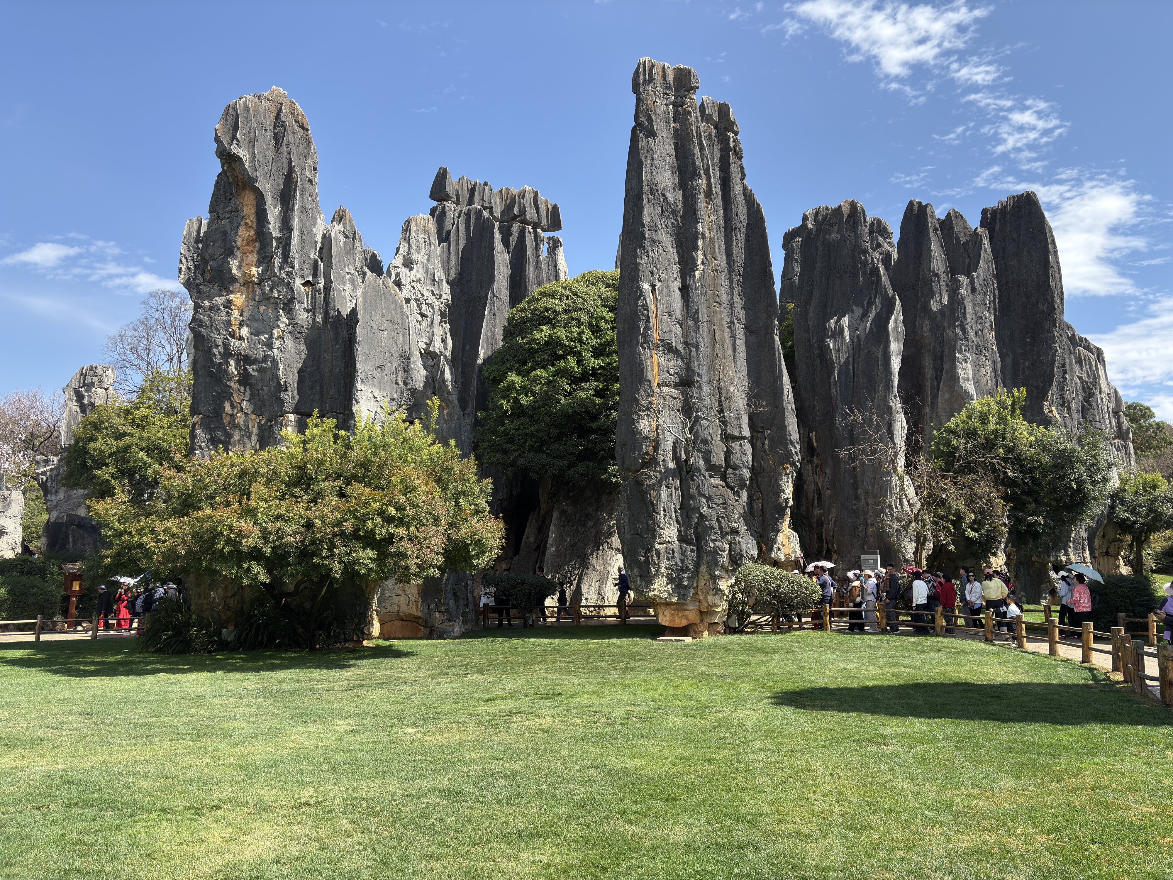 照片 中国(China) 石林(Shilin Stone Forest) 2026-01 229