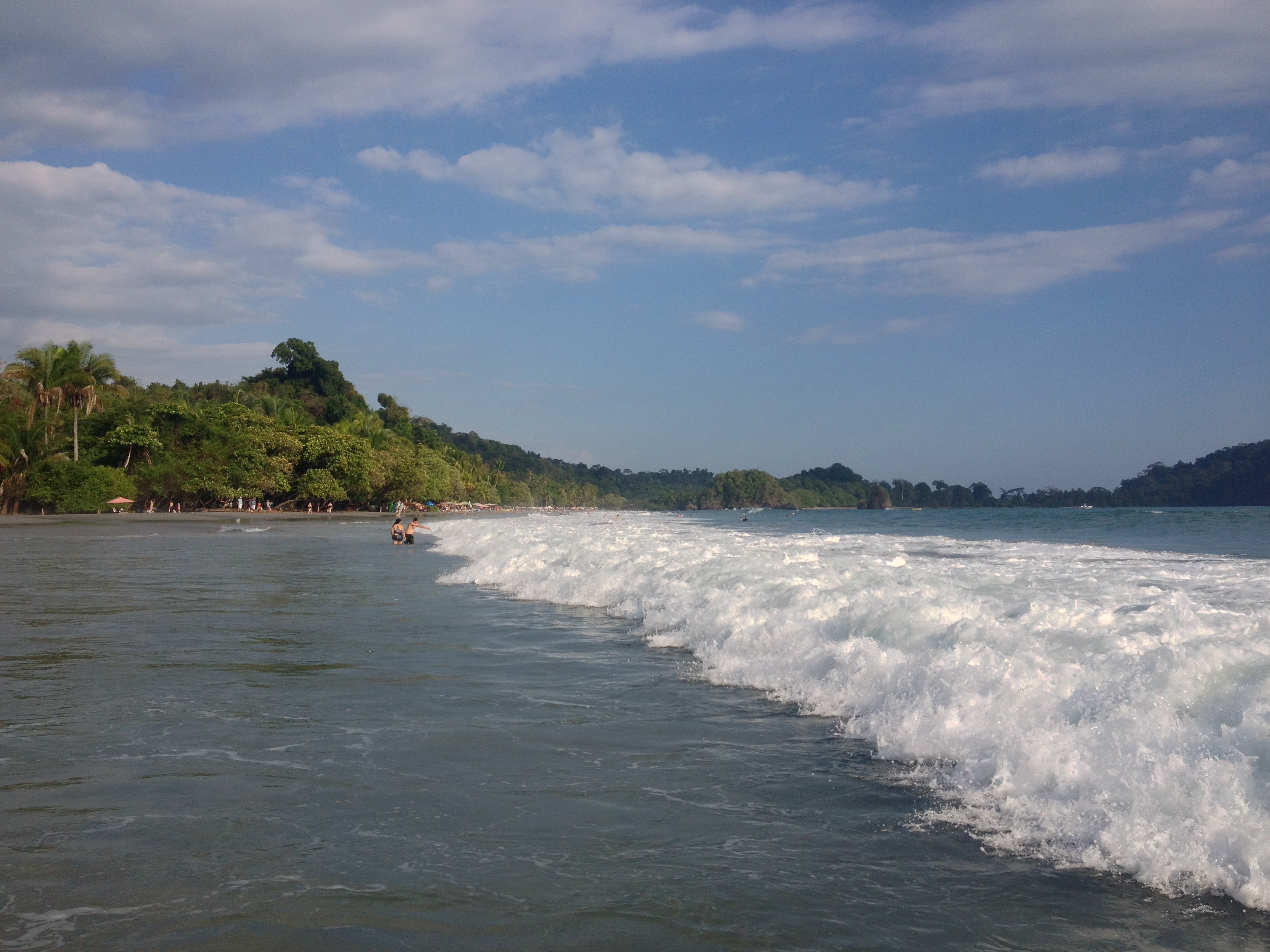 照片 哥斯达黎加(Costa Rica) 曼努埃尔安东尼奥(Manuel Antonio) 2015-03 481