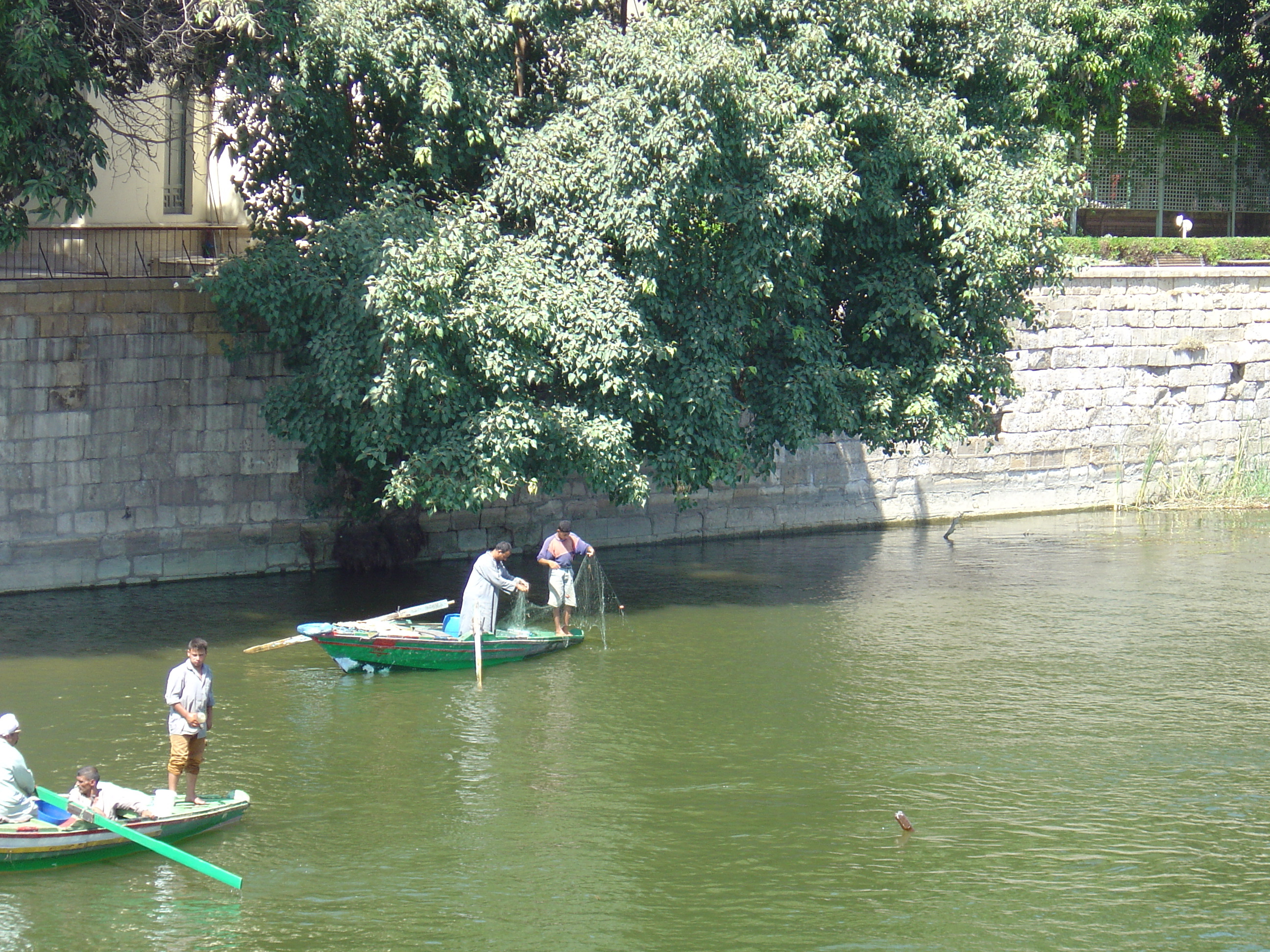 照片 埃及(Egypt) 开罗(Cairo) 2004-09 31